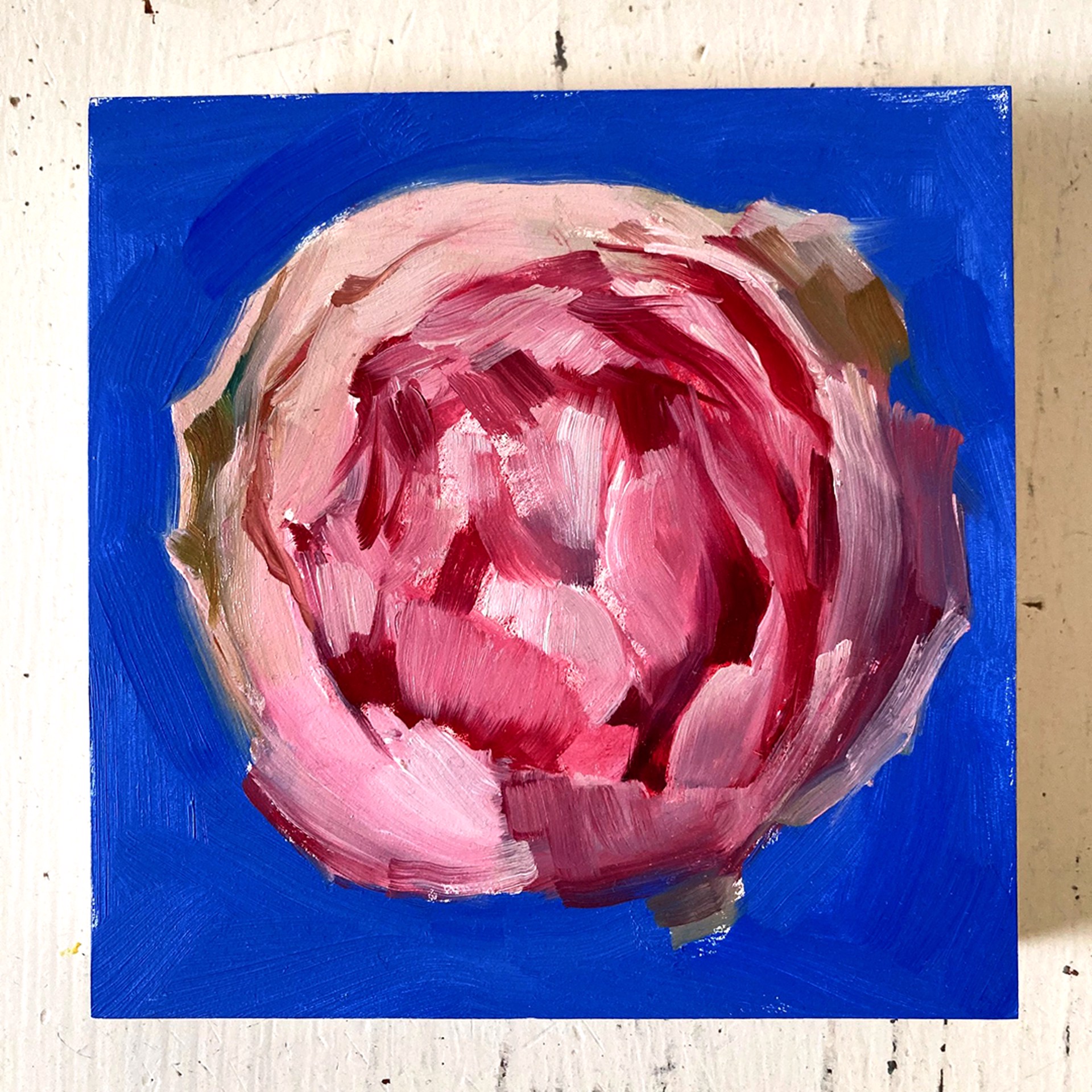 Peony Project #9 by Amy R. Peterson*