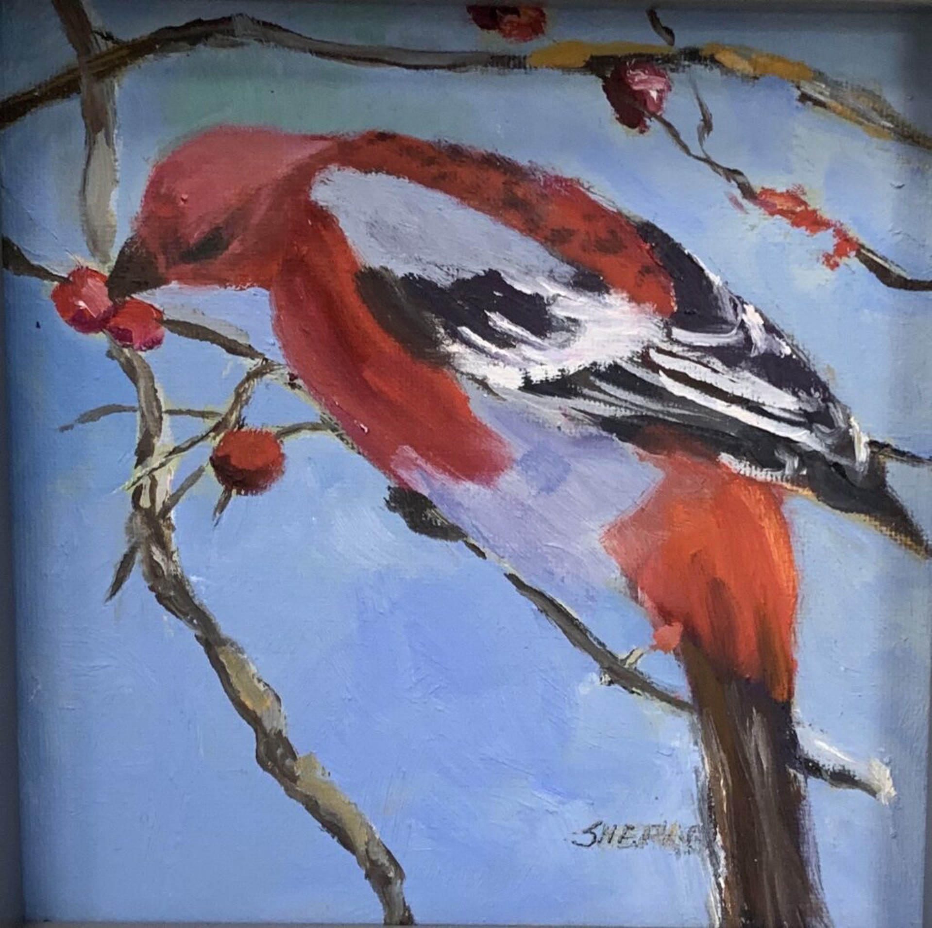 Red bird by Liz Shepherd