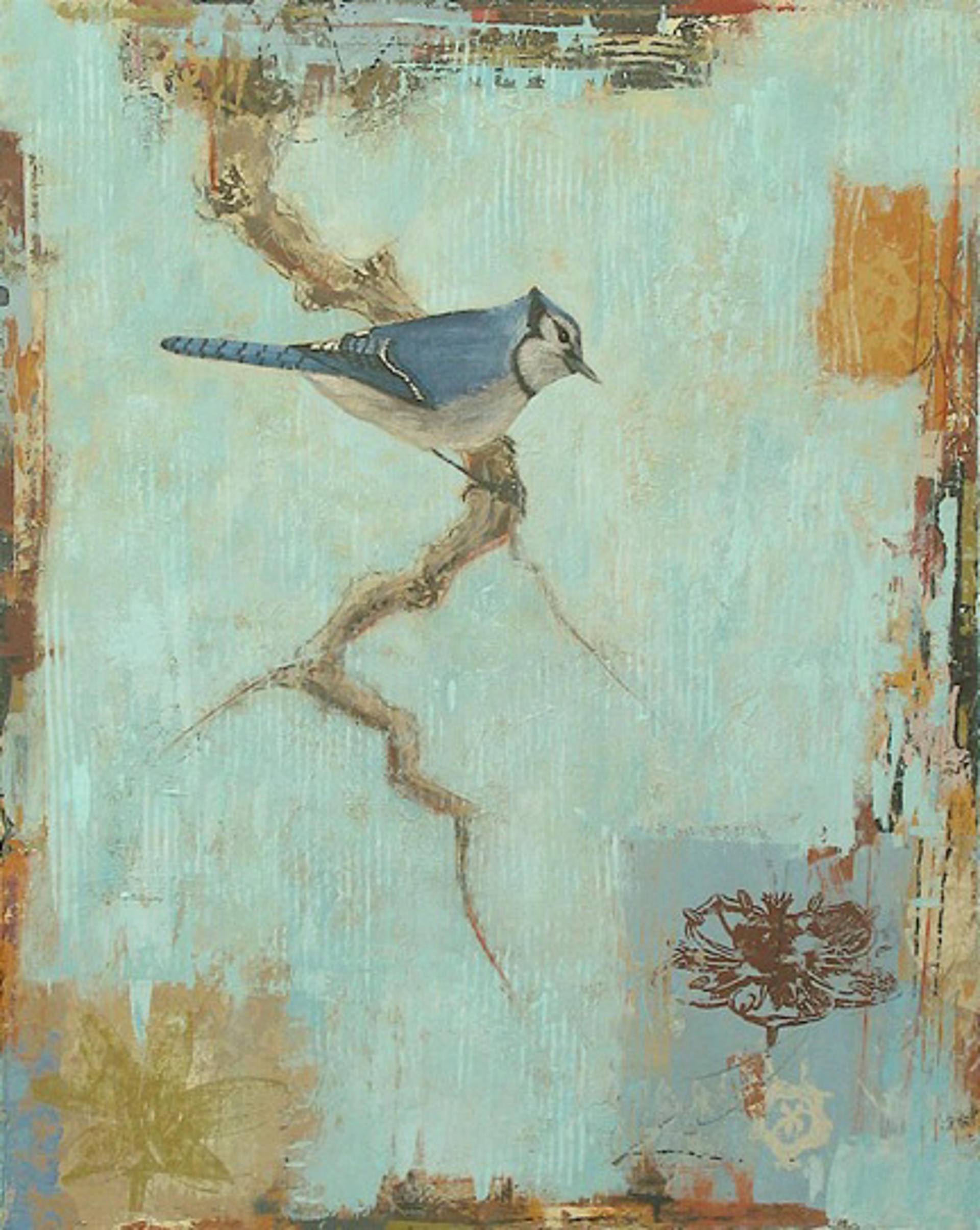 Blue Jay (#2) by Paul Brigham