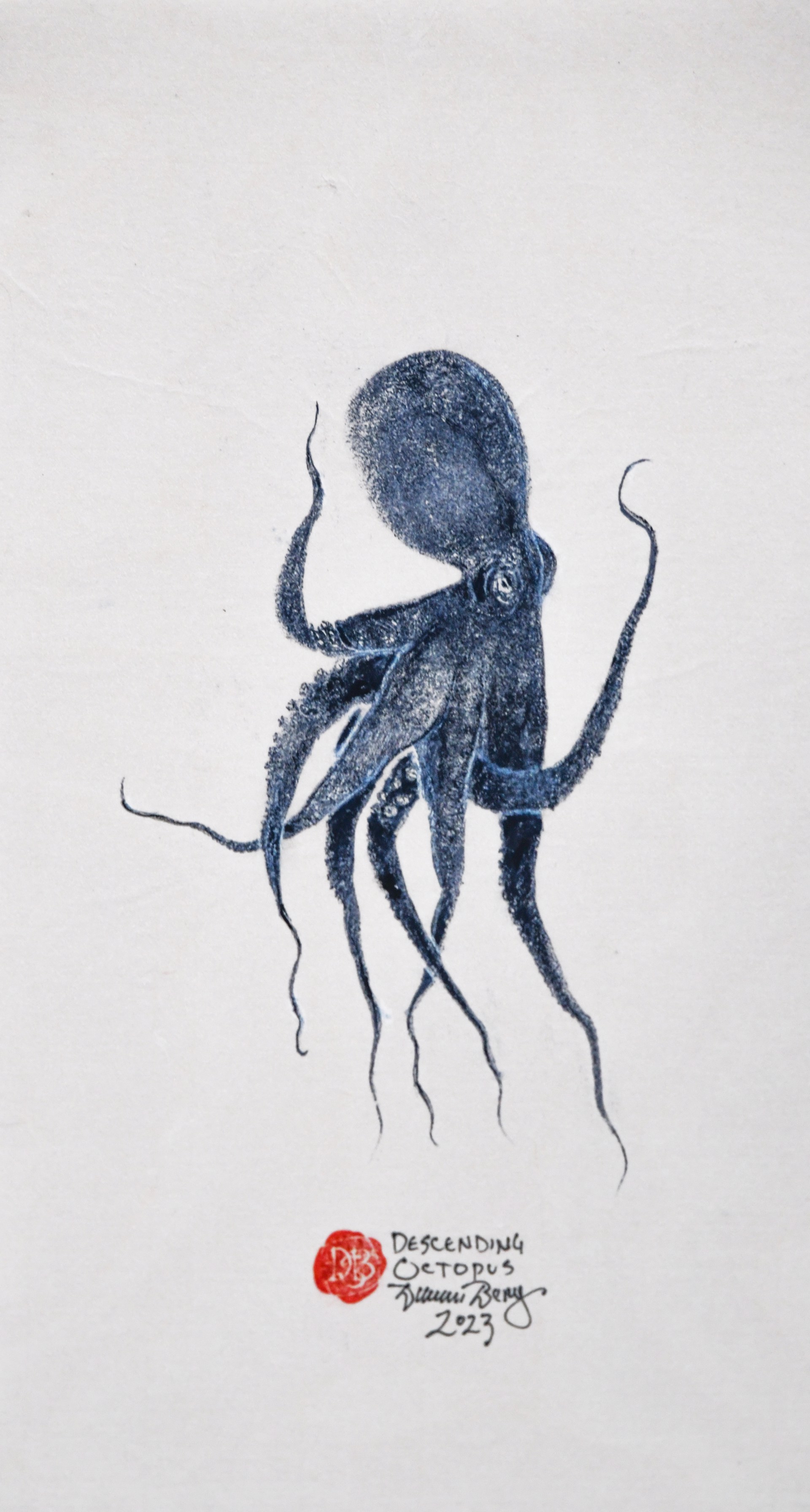 Descending Octopus by Duncan Berry