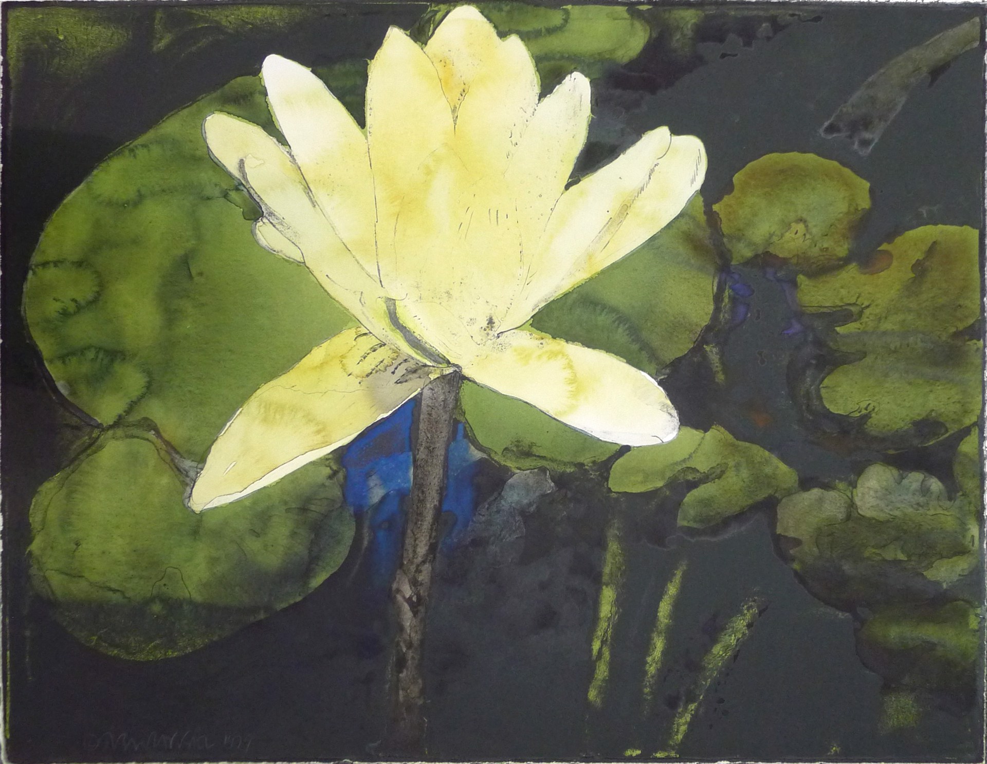 White Lily & Green Pads by Joseph Raffael