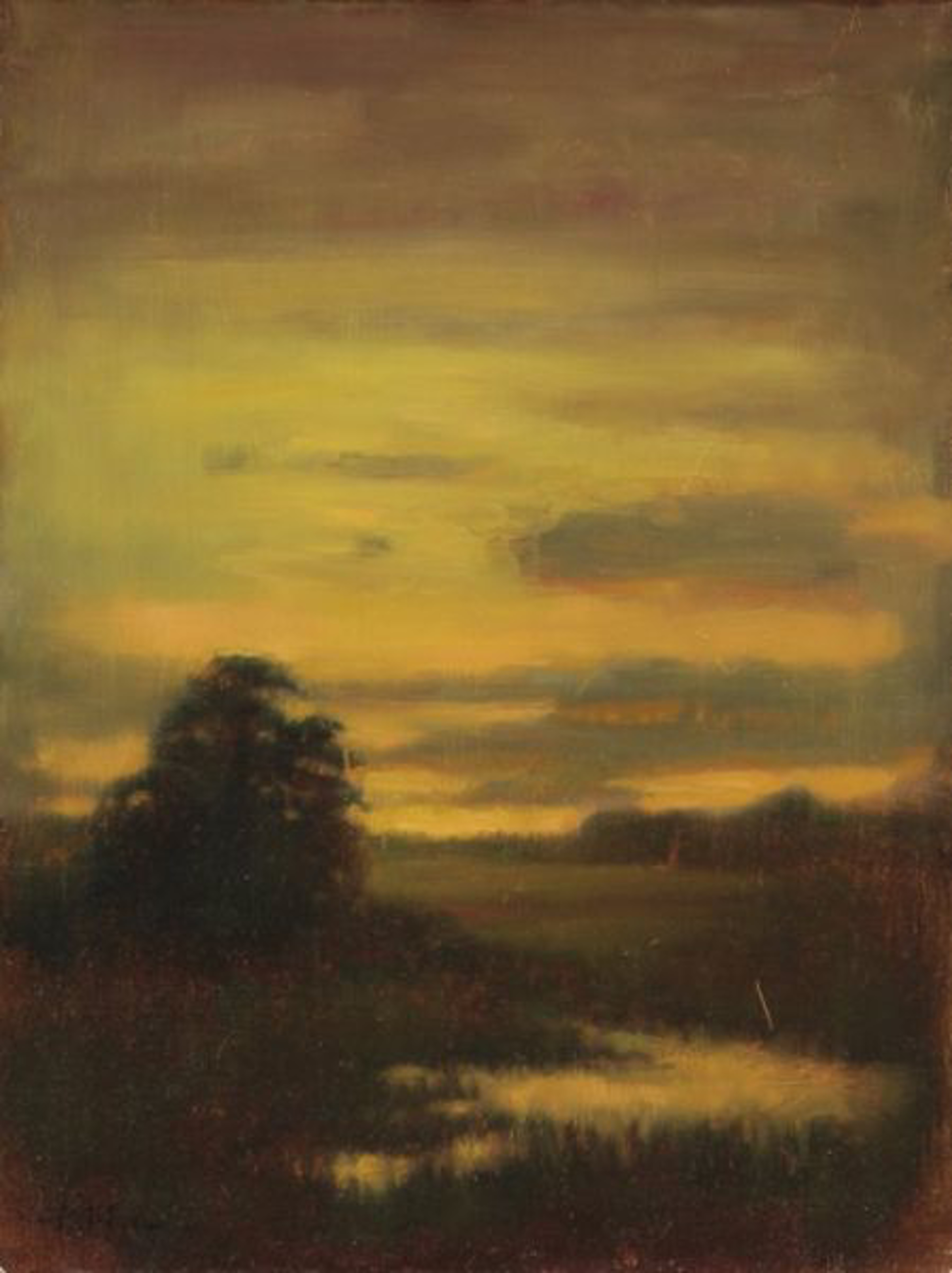 Marsh Sublime by Brett Weaver