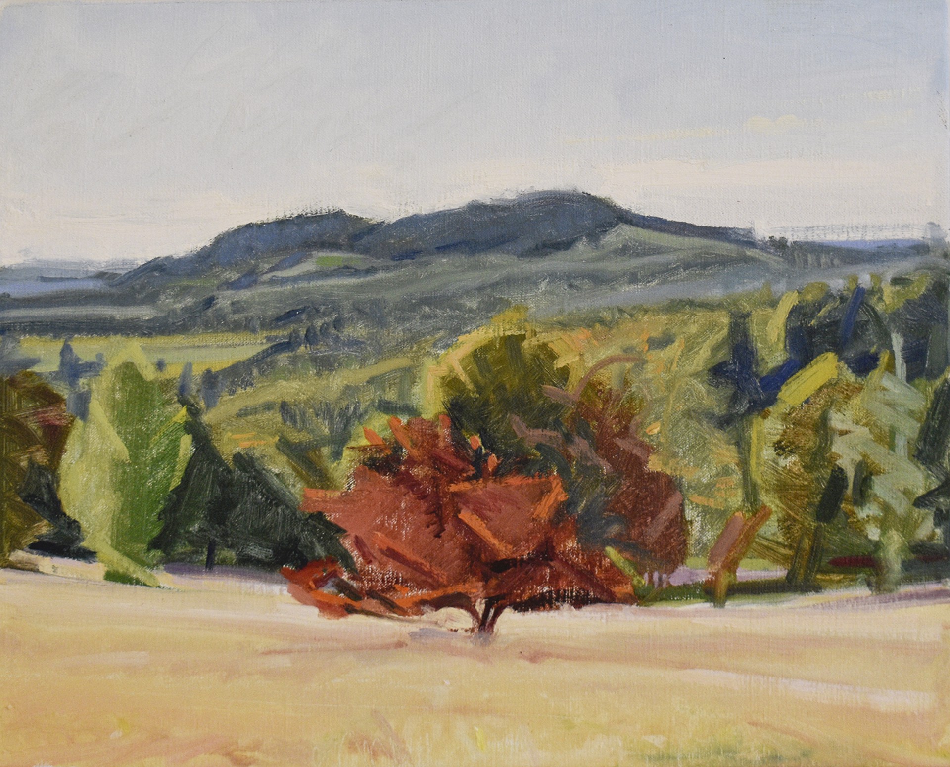 Hill from Olana by John Kelly