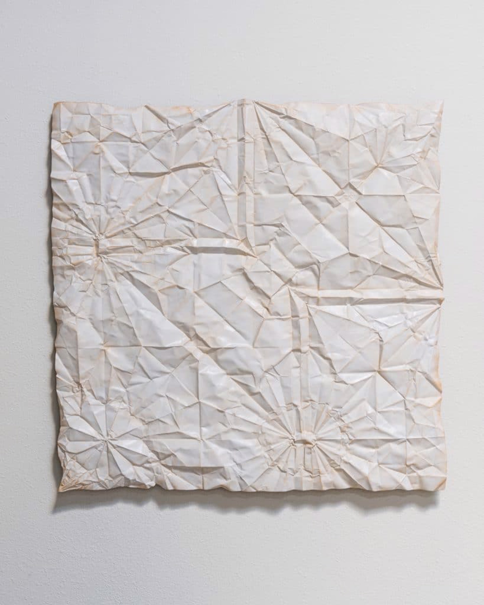 Unicorn Unfolded (collaboration with Robert Lang) by KEVIN BOX