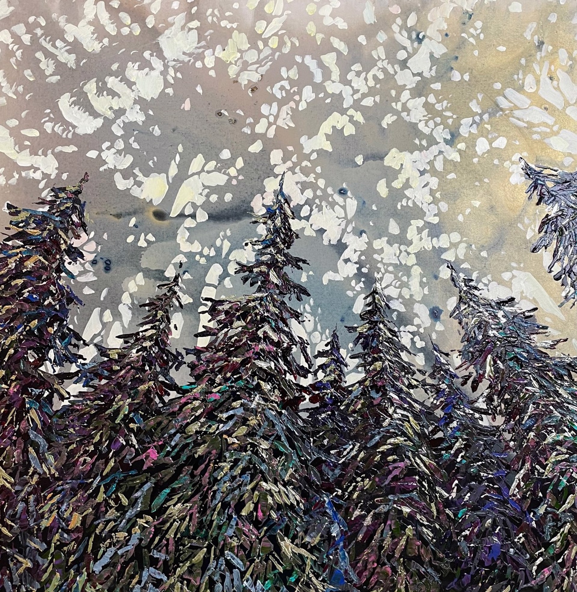 Looking Up Pines by Maya Eventov