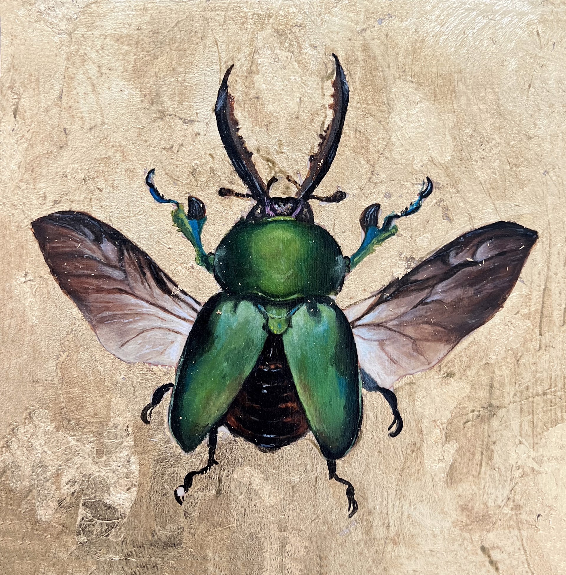Beetle by Megan Buccere