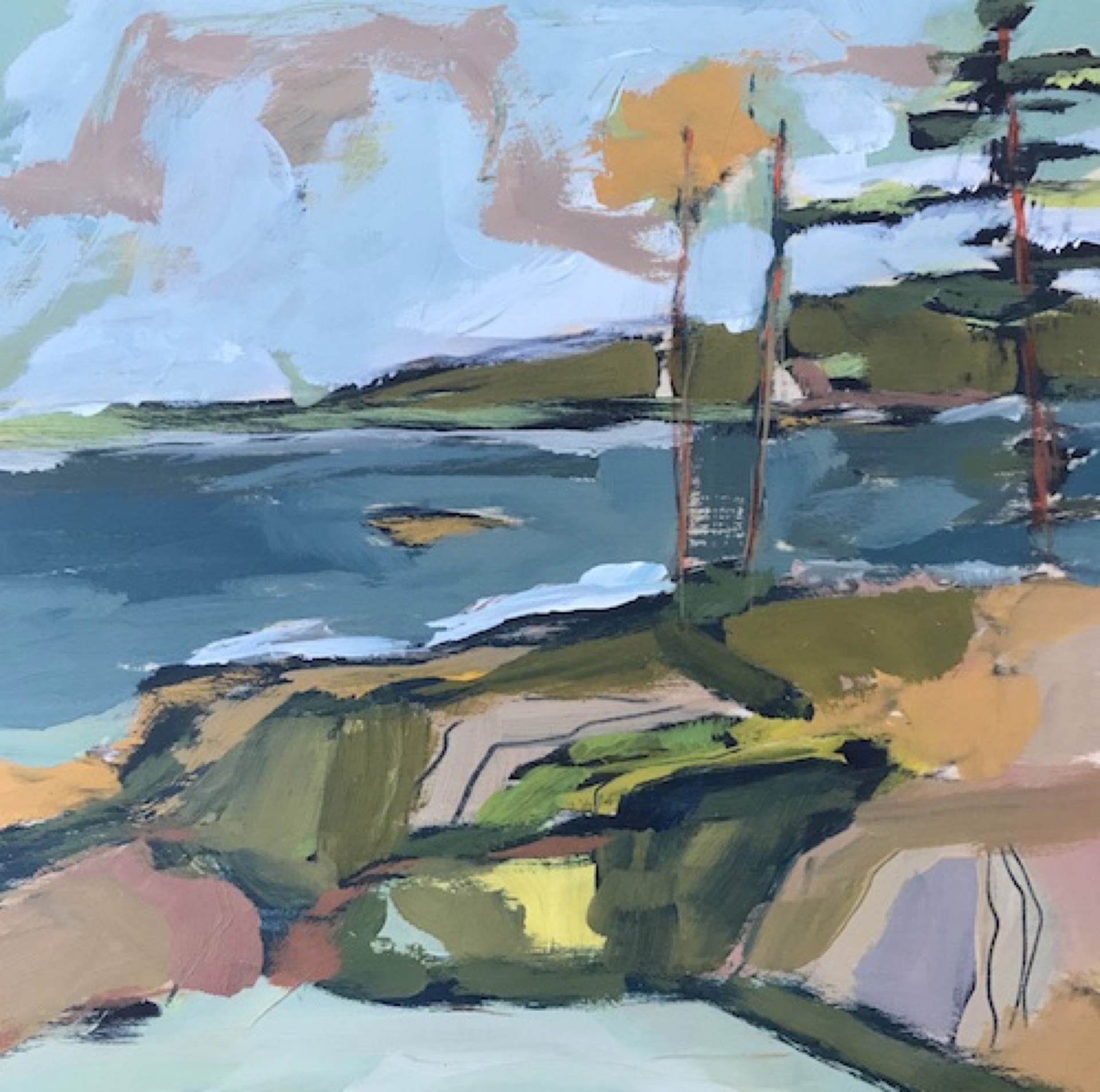 Pine at Schoodic Peninsula, Acadia by Rachael Van Dyke