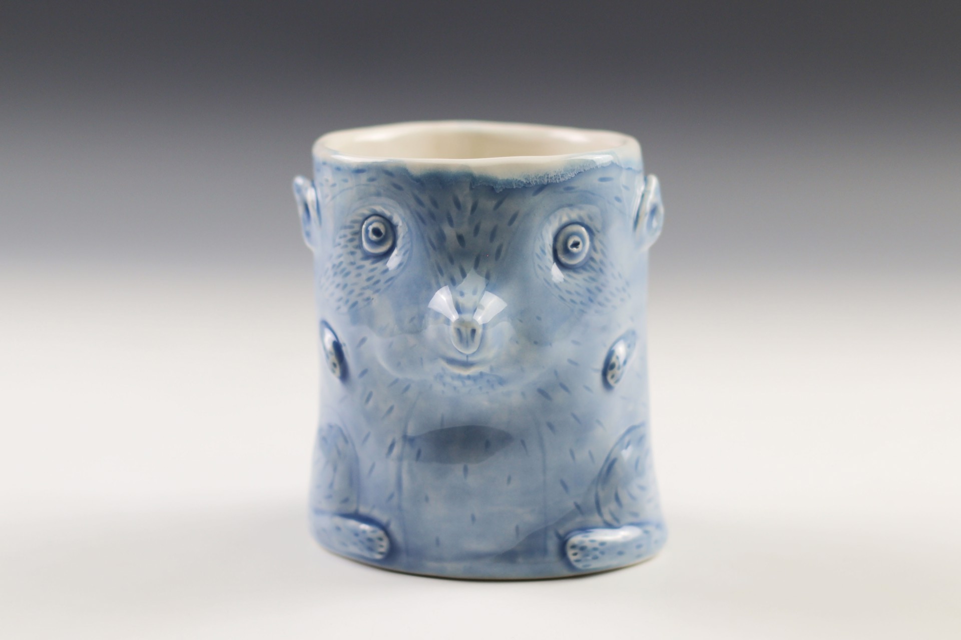 Blue Raccoon Mug by Debbie Kupinsky