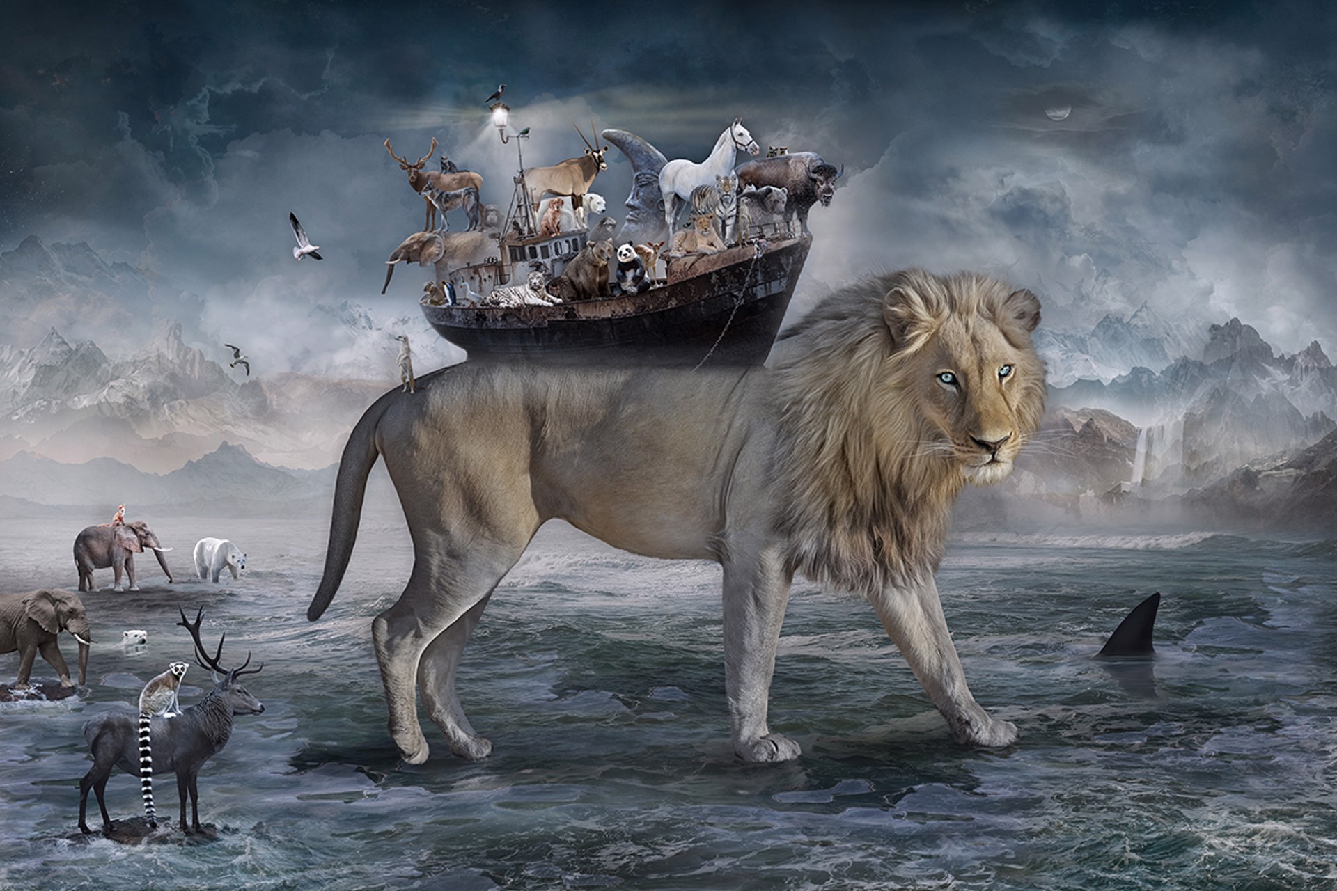 Noah - the Lions Heart by Marcin Owczarek