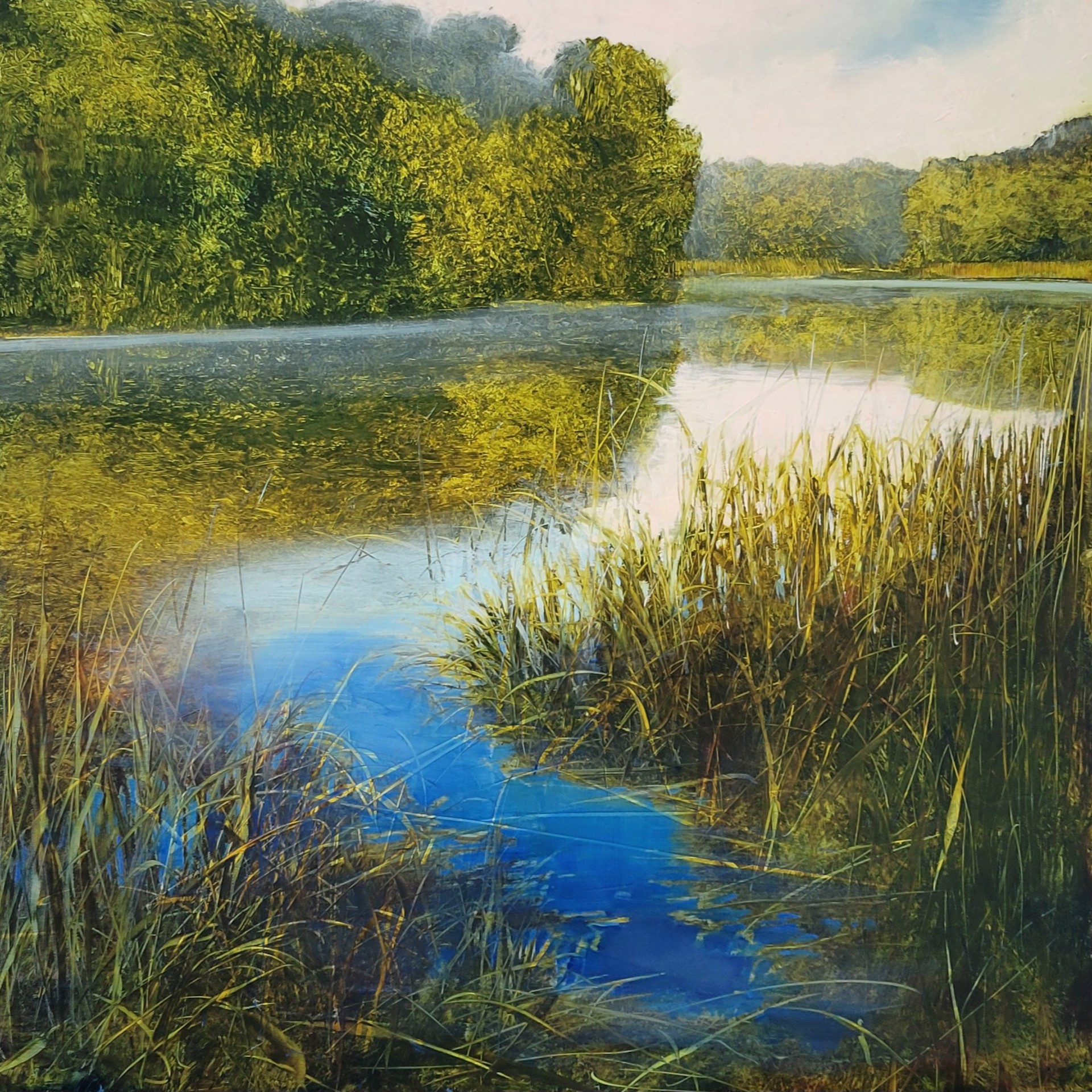 Through the Reeds by David Dunlop | Susan Powell Fine Art