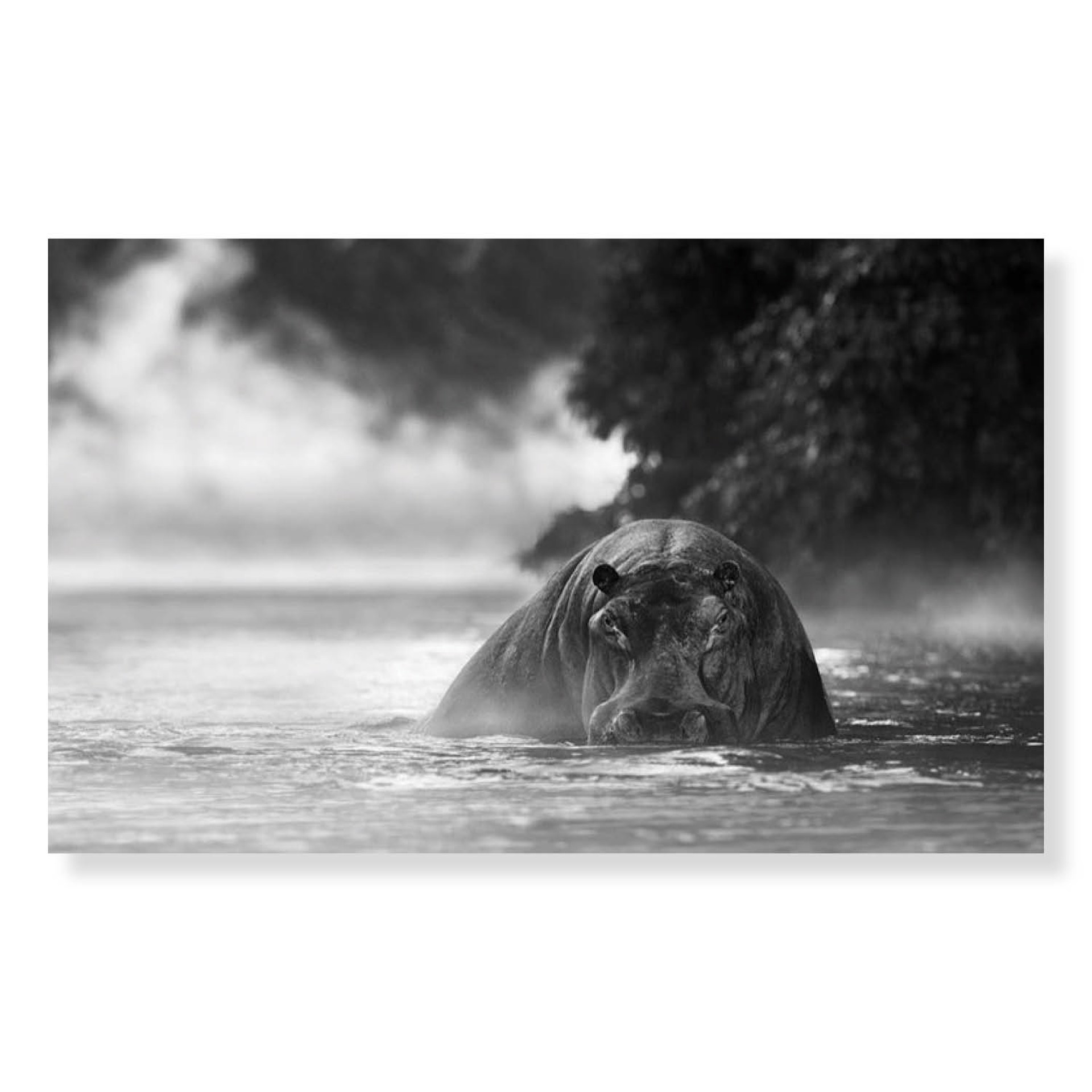 The River Monster by David Yarrow
