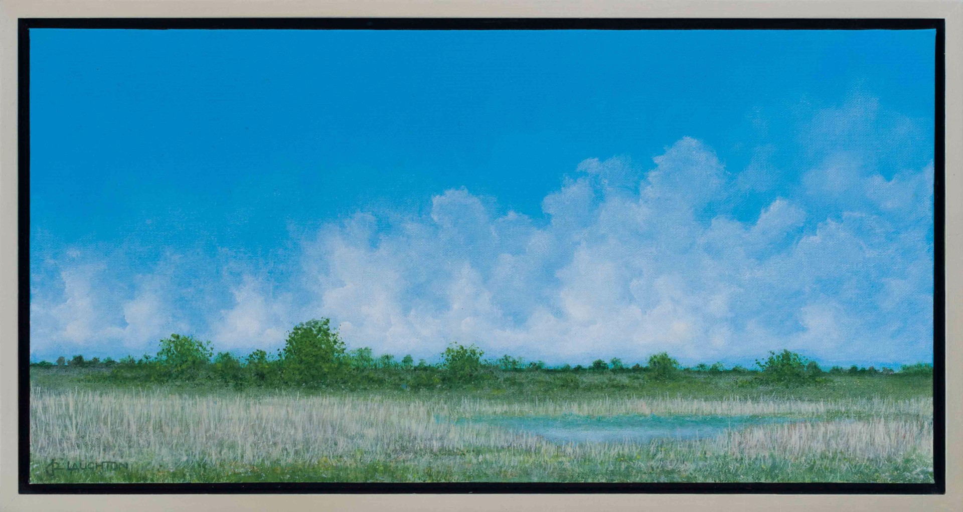 Florida Landscape by Peter Laughton