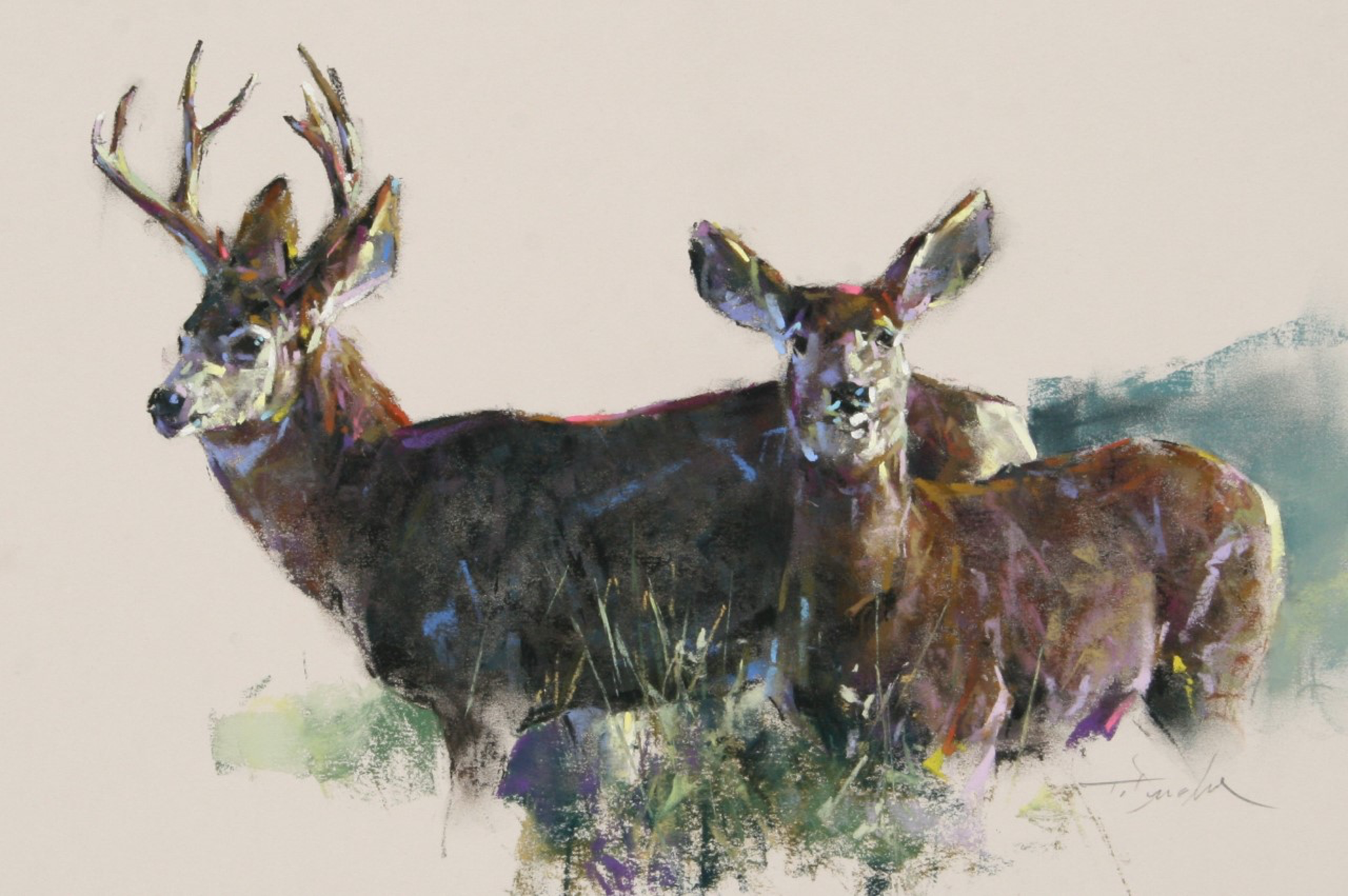 Mule Deer by Terry Donahue