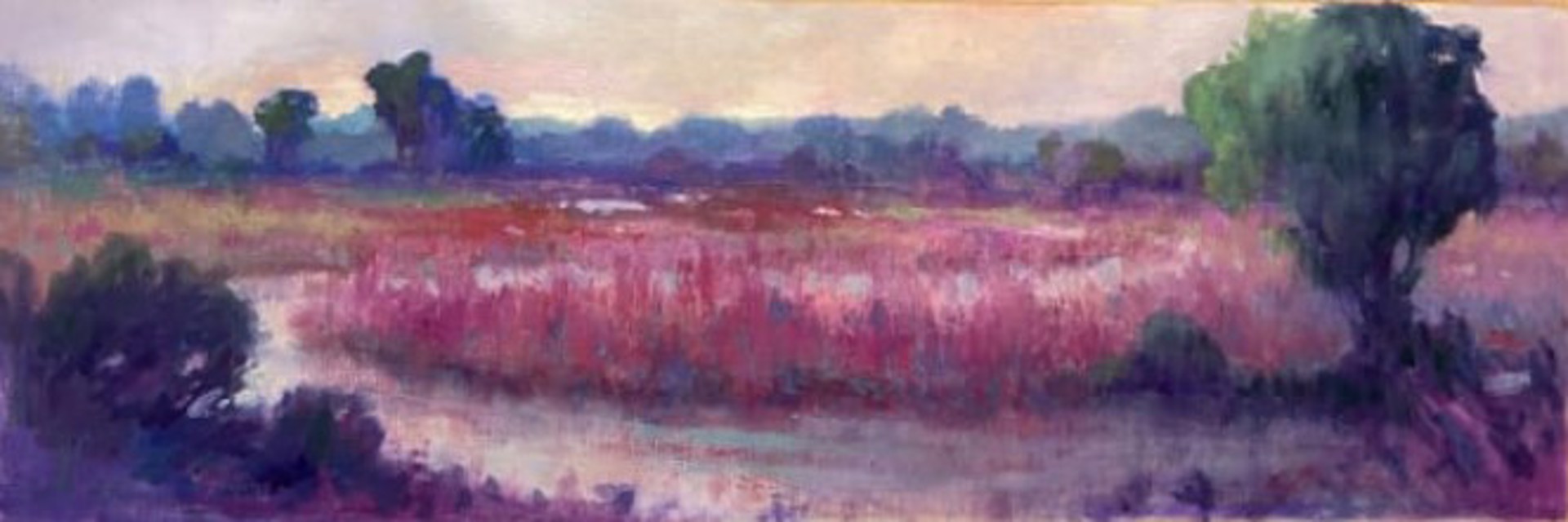 Meandering Wetlands by Linda Richichi