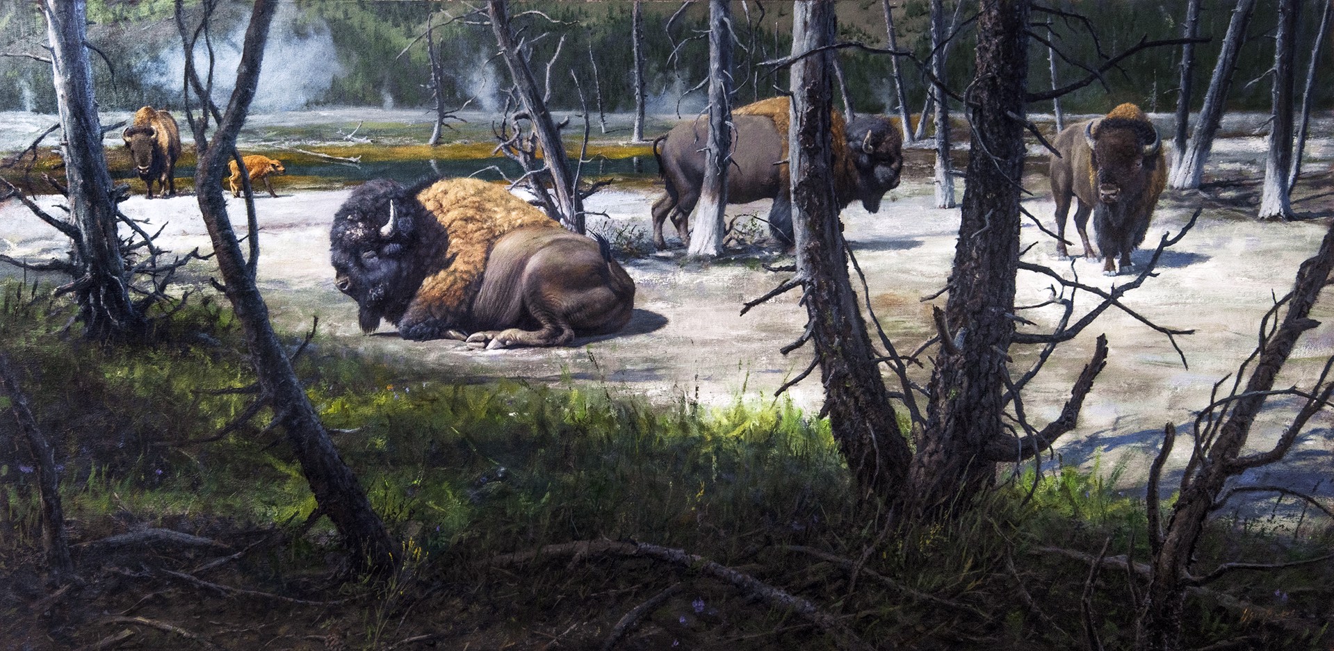 At Rest in Yellowstone by Oscar Campos