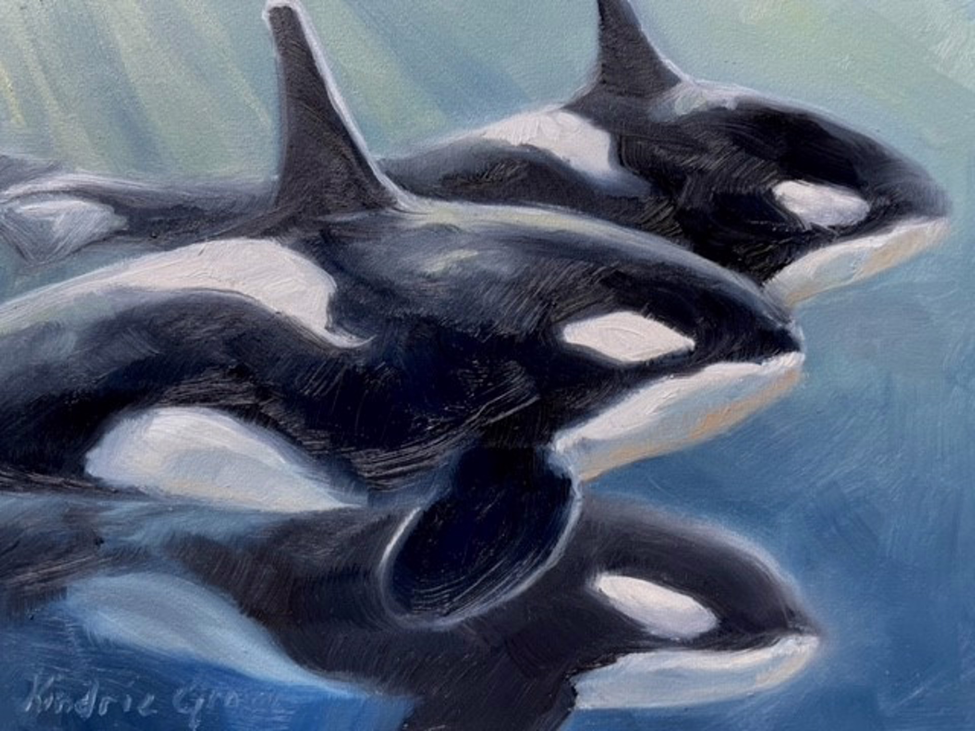 Filtered Light Orca Pod by KINDRIE GROVE