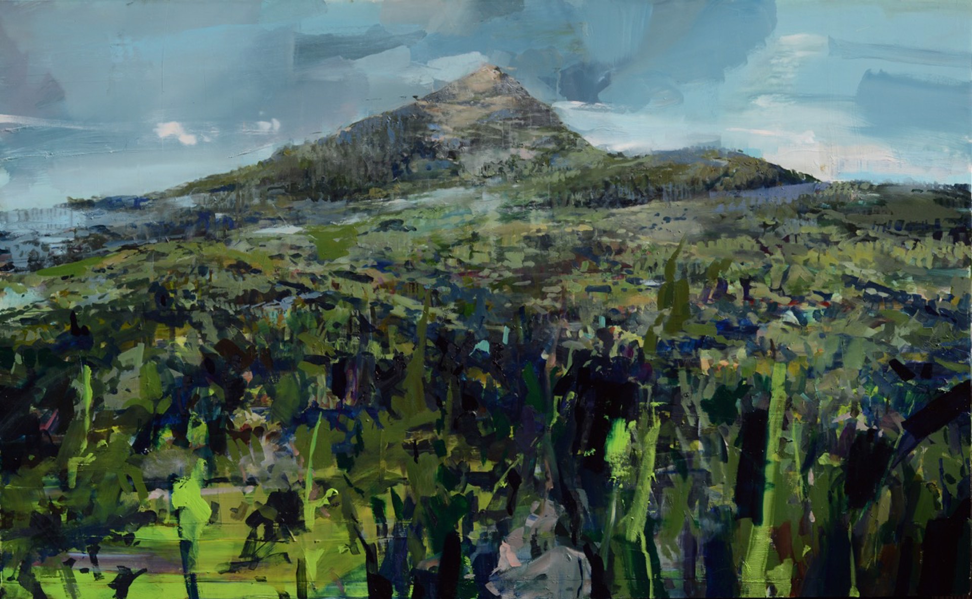 Mountain with Irises by Alex Kanevsky