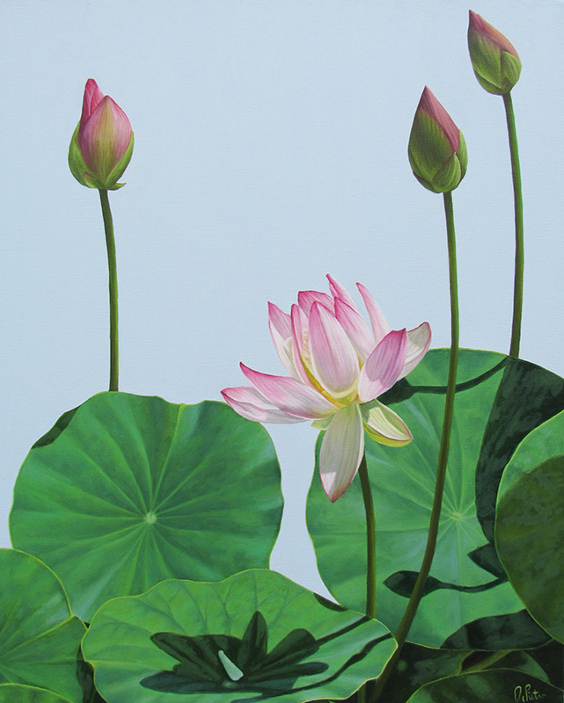 Lotus Number Seventeen by Frank DePietro