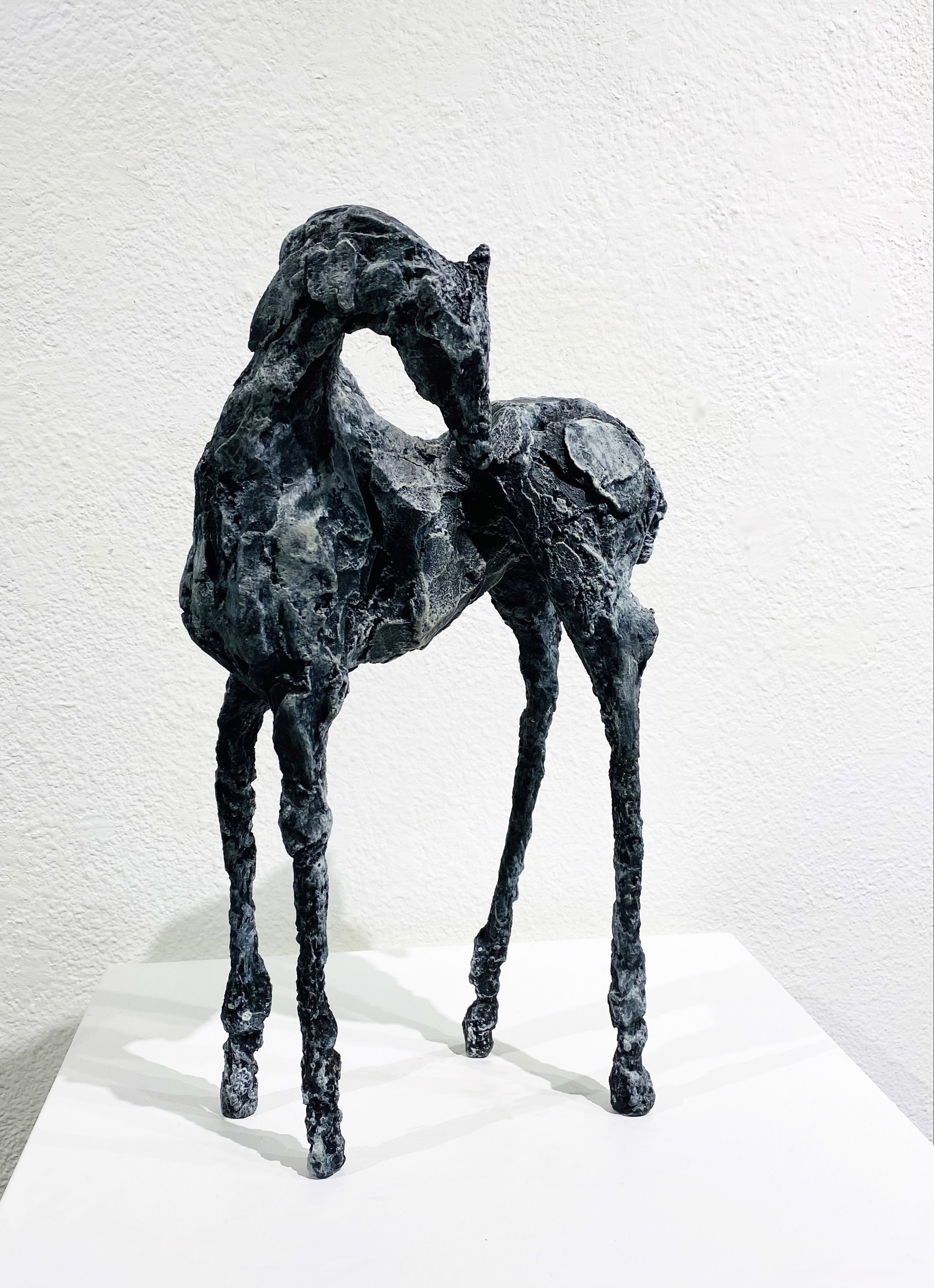 Miri by SIRI HOLLANDER