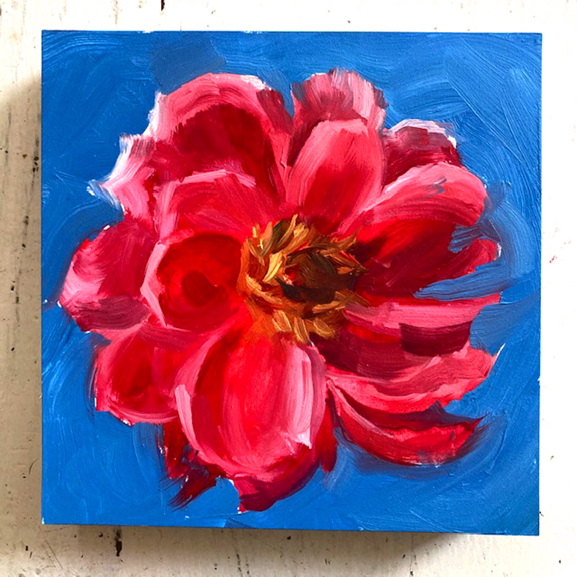 Peony Project #34 by Amy R. Peterson*