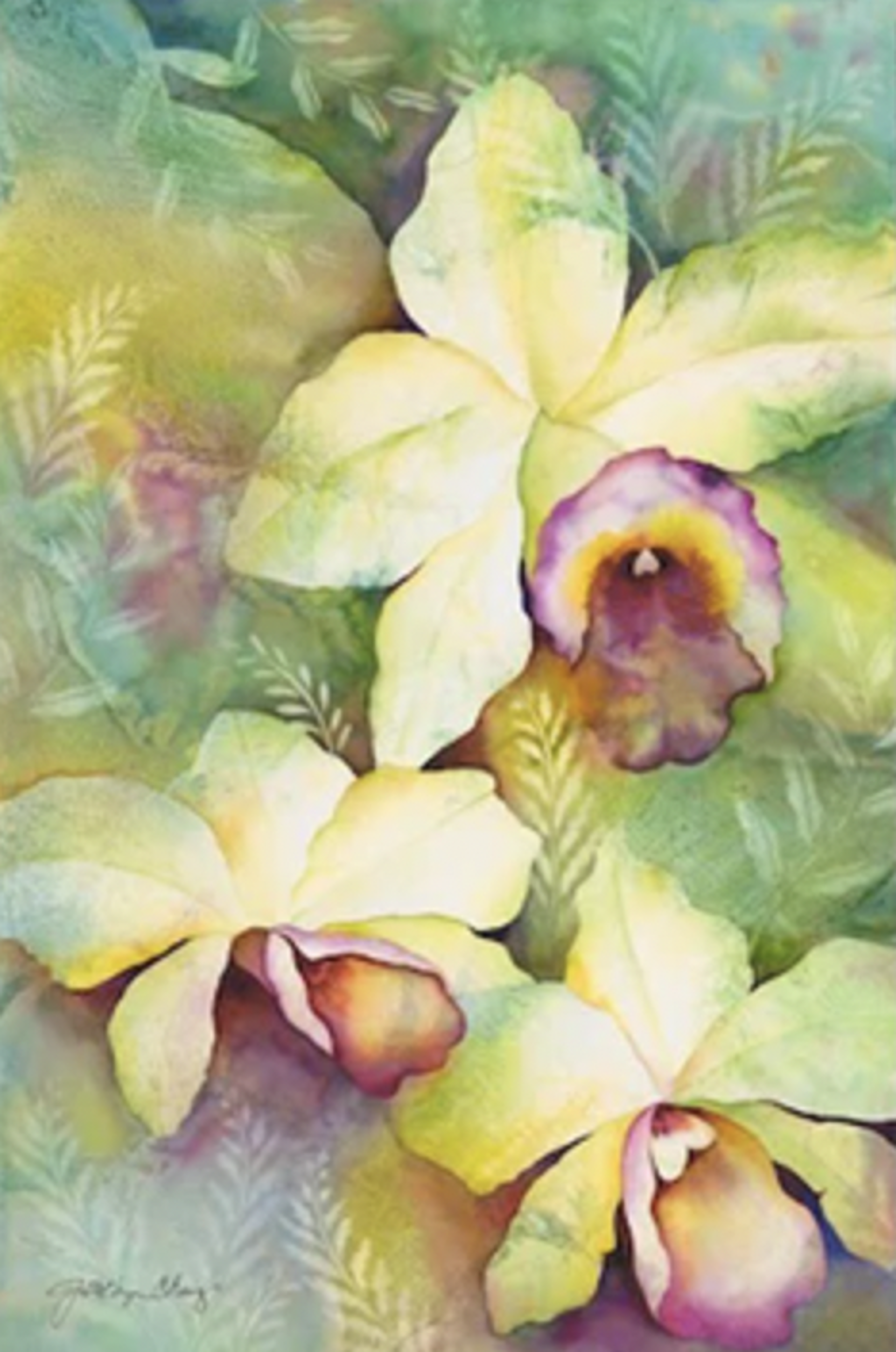 Orchid Medley by Jocelyn Cheng