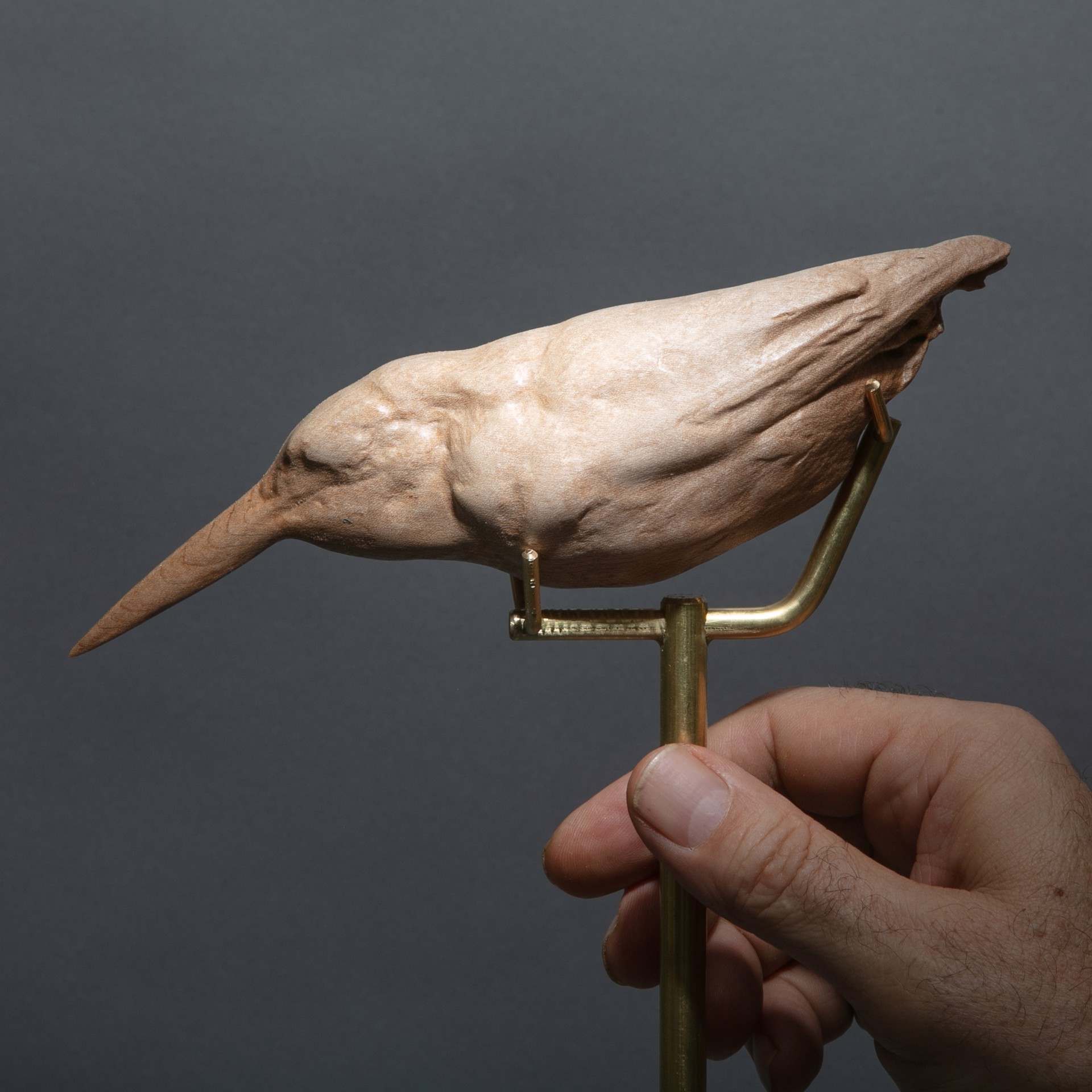 SOLD, Specimen #26 - Kingfisher by Dana Younger