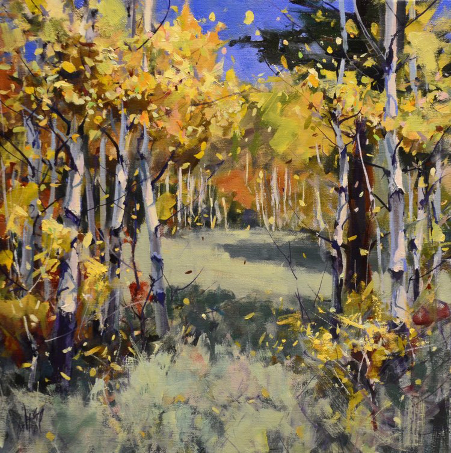 Into the Aspens by Mike Wise