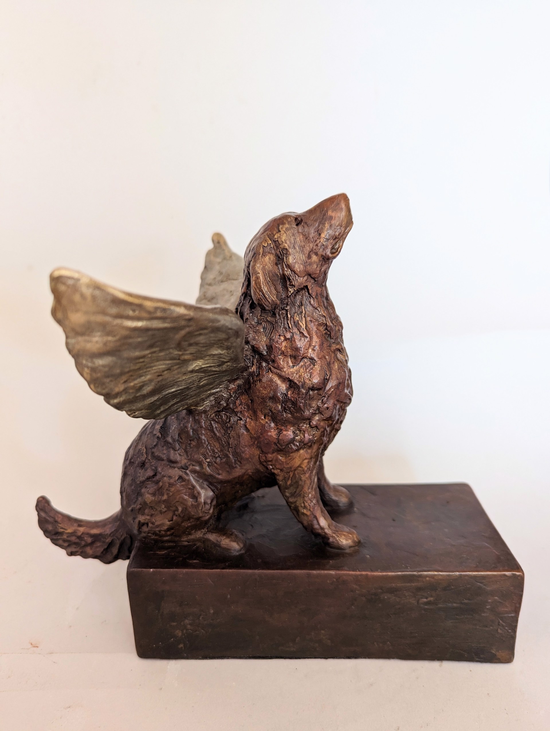 Seated Angel Dog by Fran Nicholson