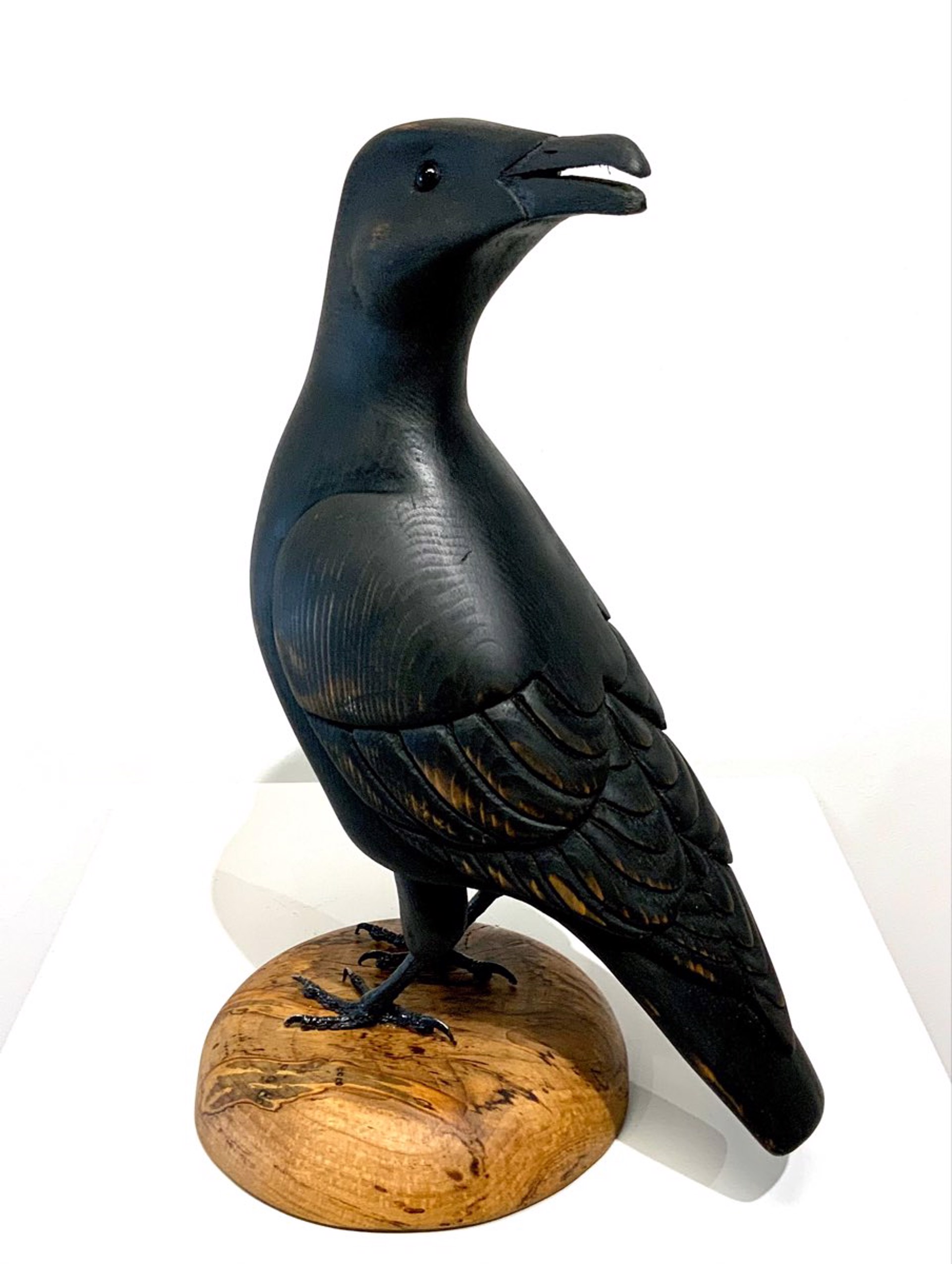 Crow by Bernard Edwards