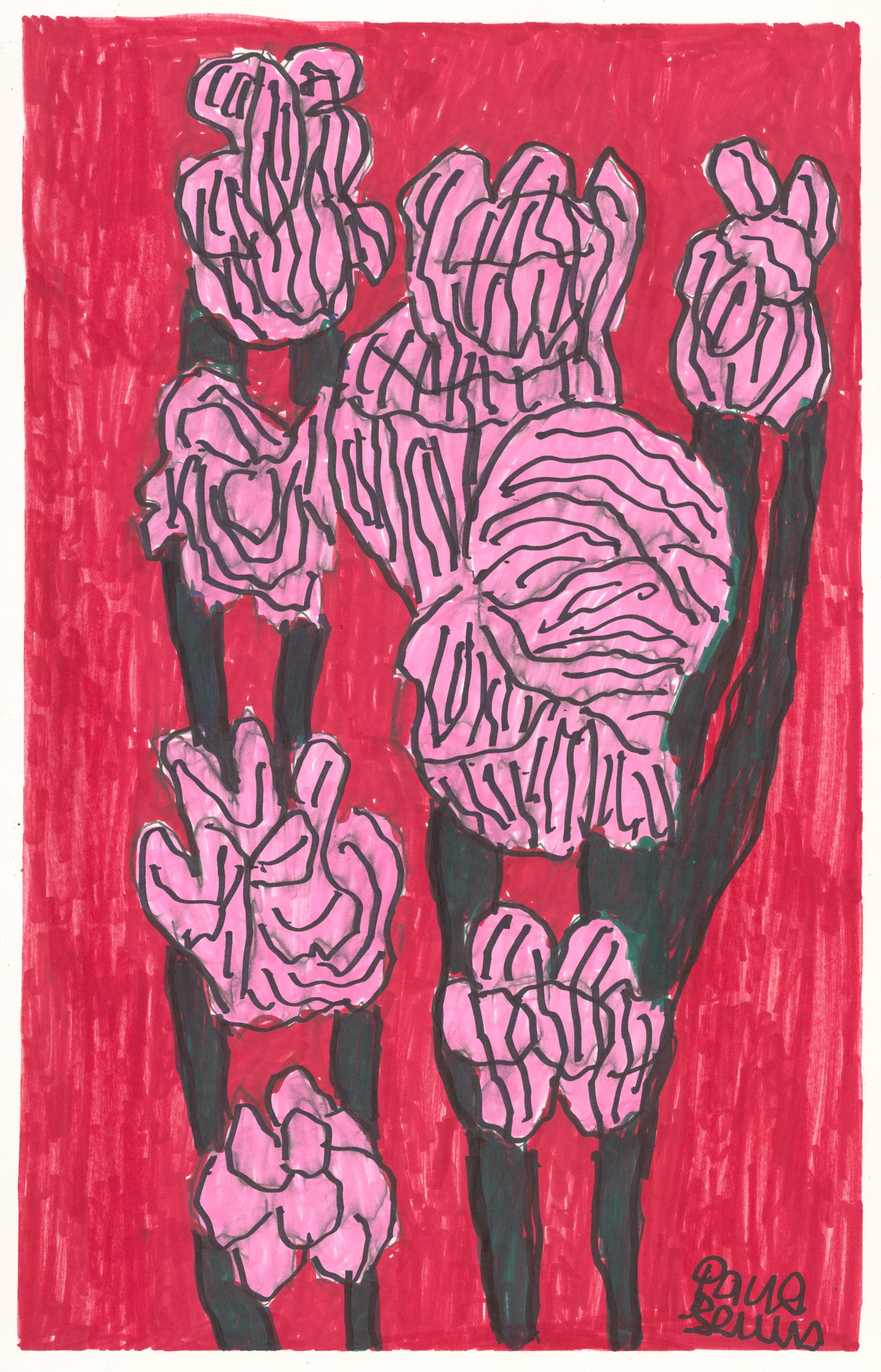 Carnations by Paul Lewis