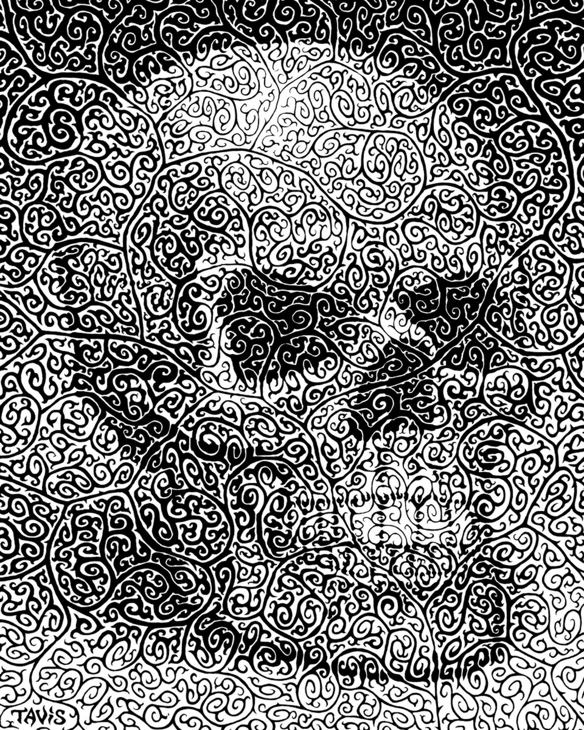 Skull Study II by Bill Tavis