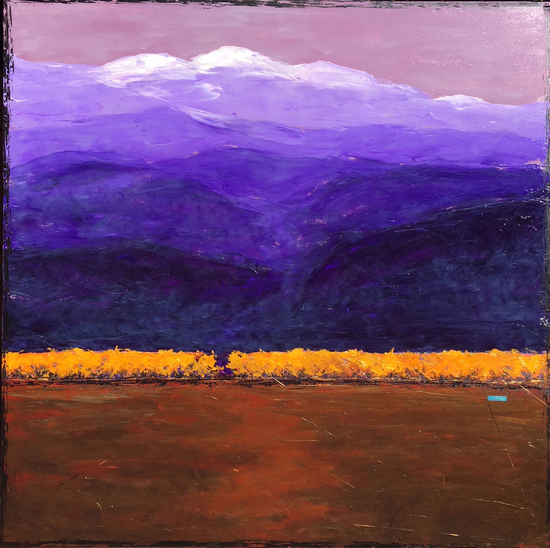 Purple Passage by Gary OAKLEY