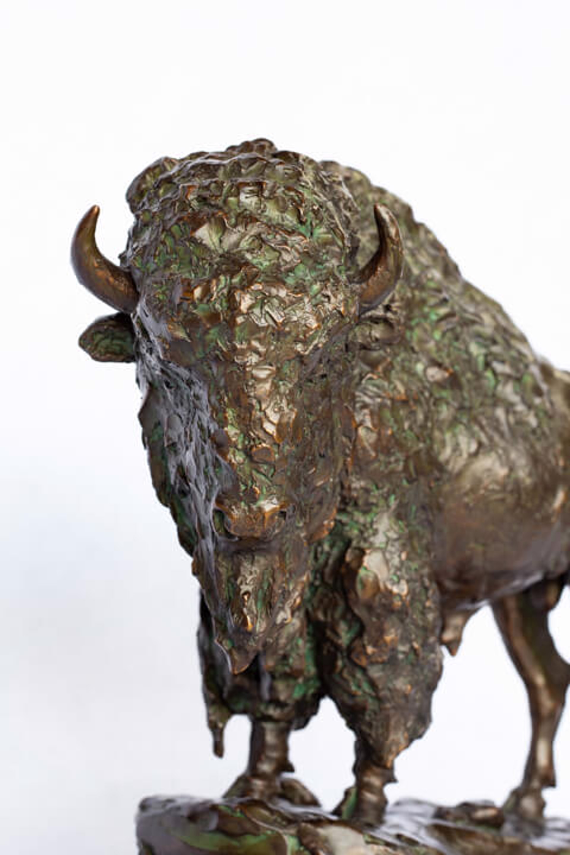 Yellowstone Bison (Edition of 30) by Scott Rogers