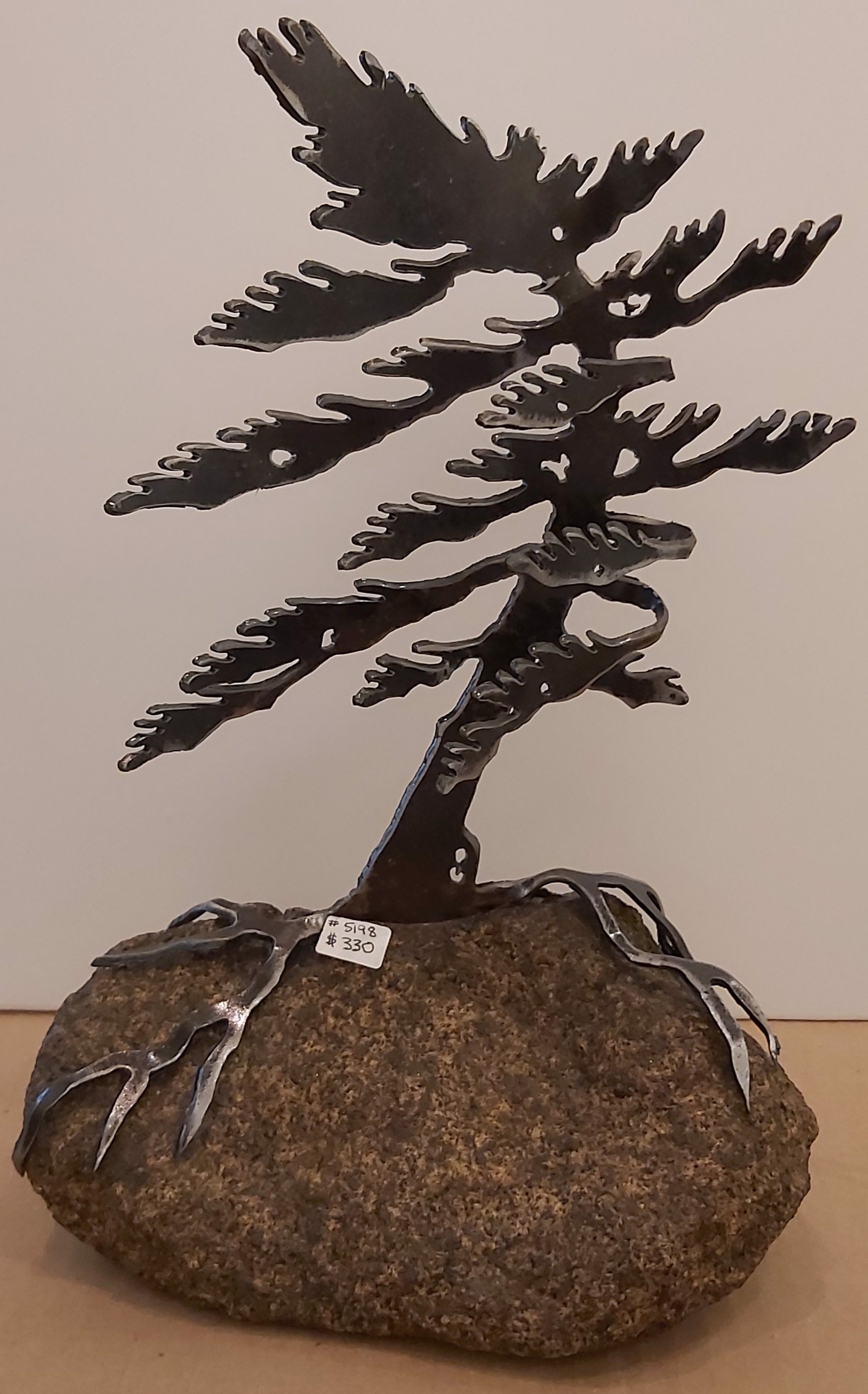 Windswept Pine 5198 by Cathy Mark