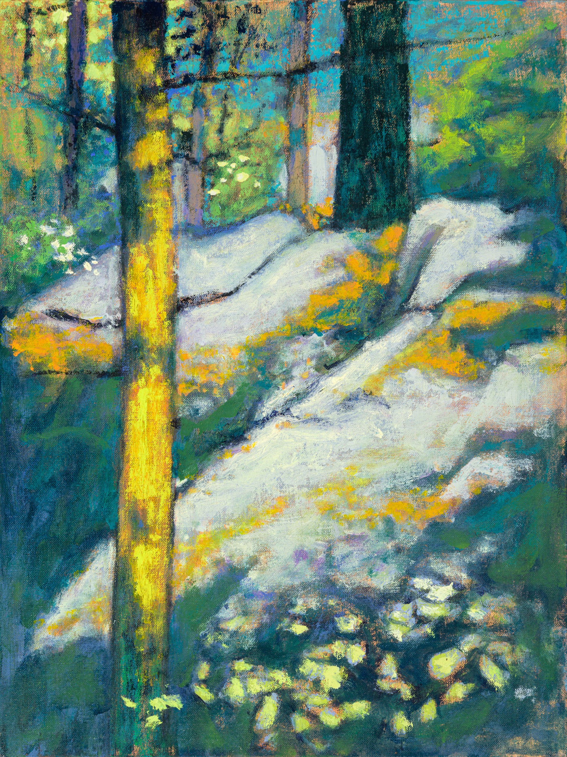 Mossy Trail by Rick Stevens
