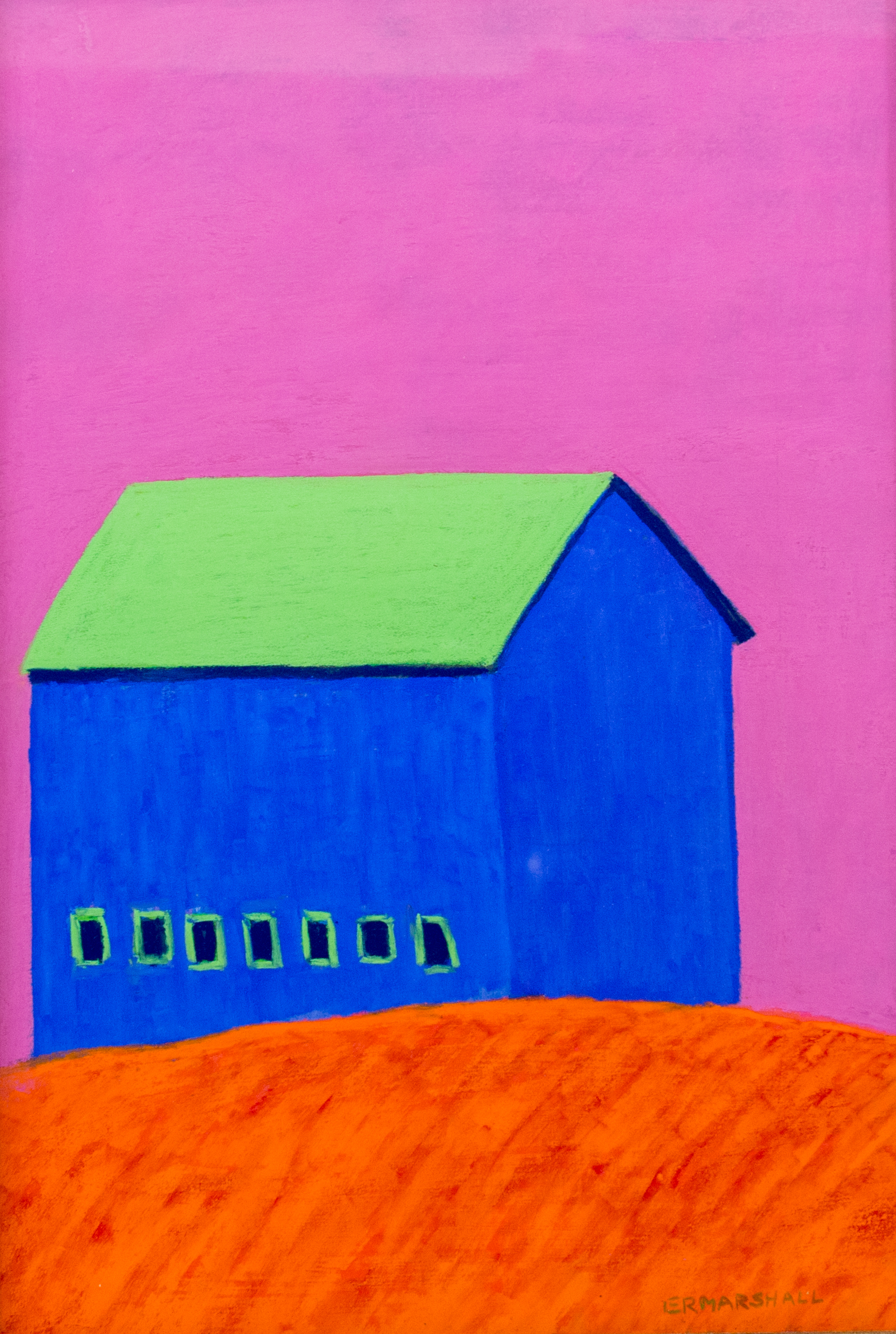 Blue Barn Green Roof by Ellen Marshall