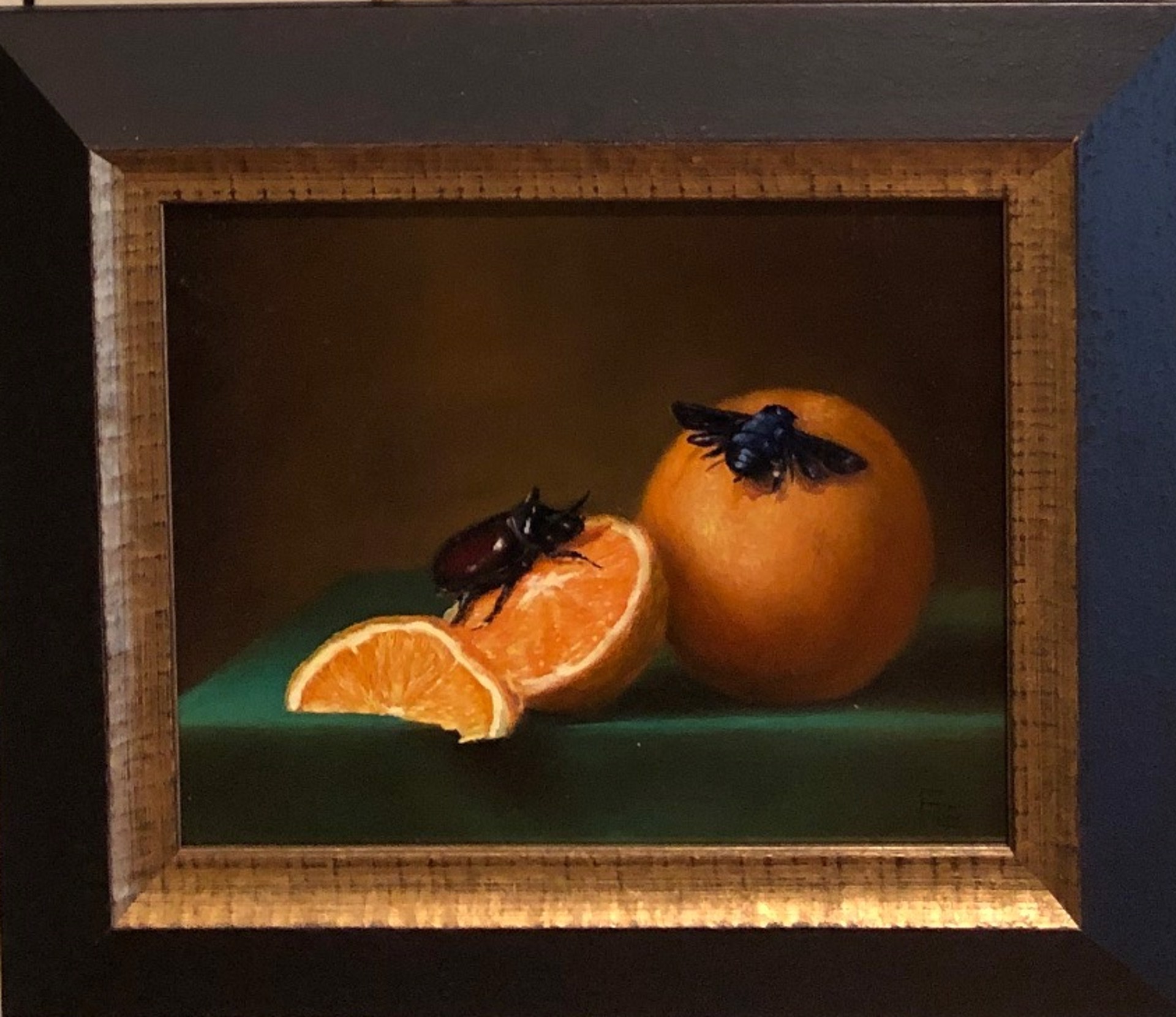 Still Life with Oranges, Rhino Beetle, and Carpenter Bee by Frankie Gollub