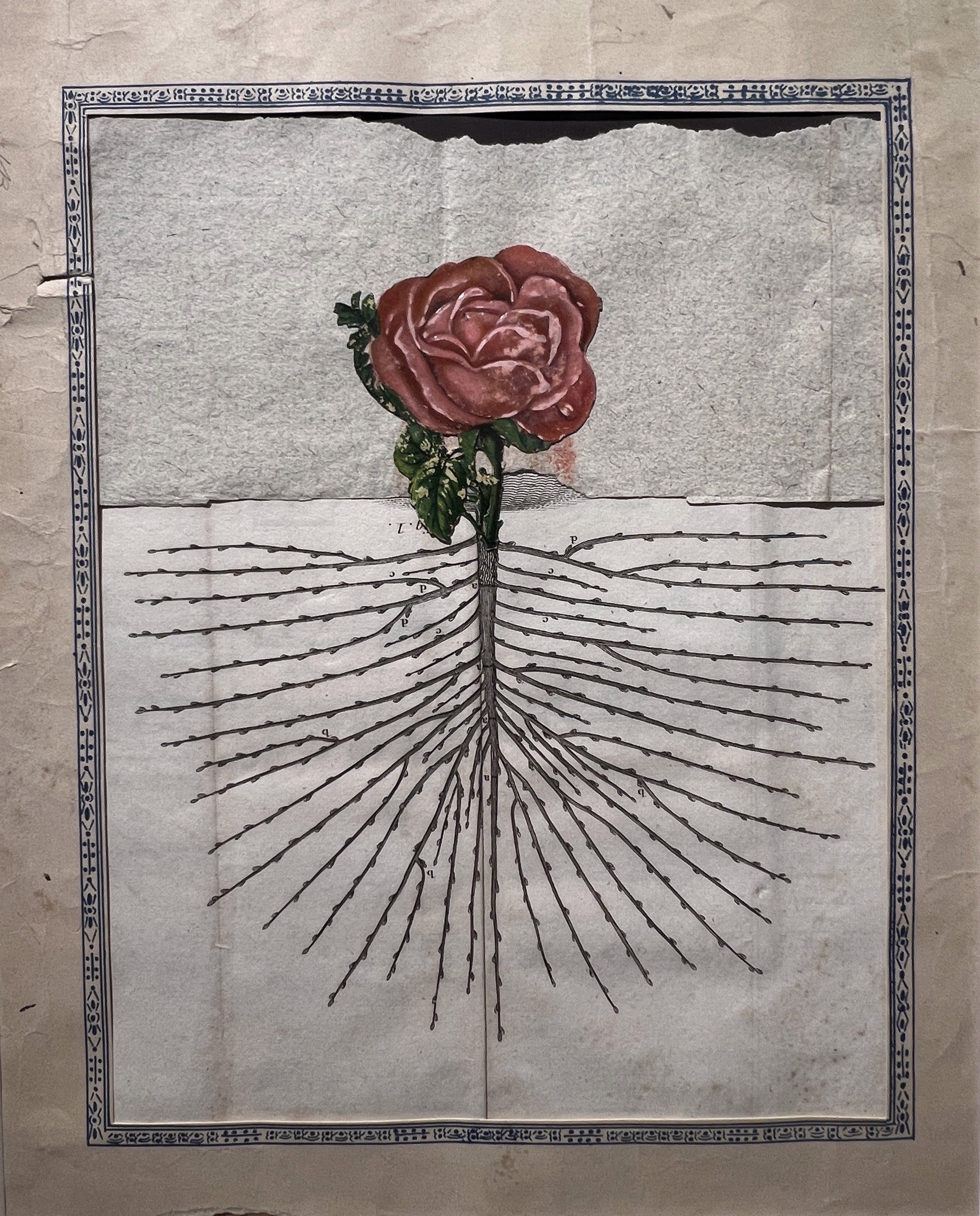 The Rose Tree by Varujan Boghosian