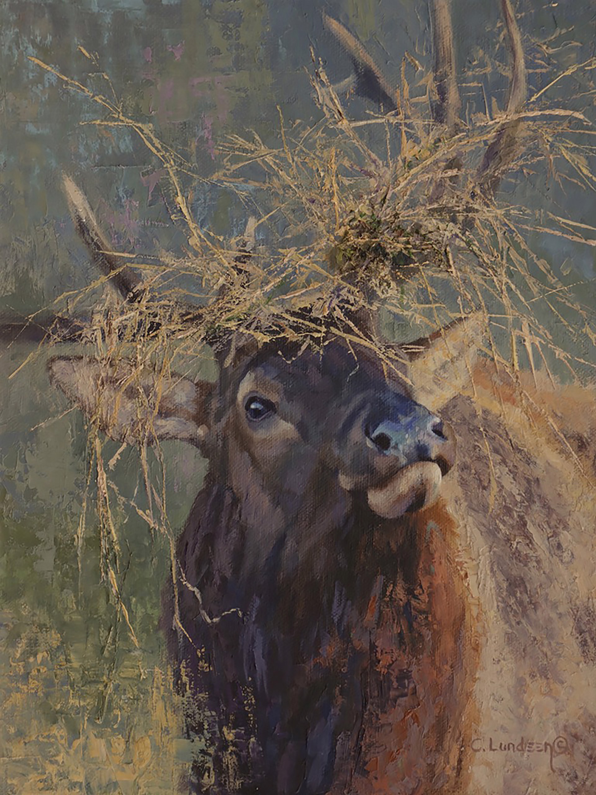 Dressed to Impress- Elk Bull by Carol Lundeen