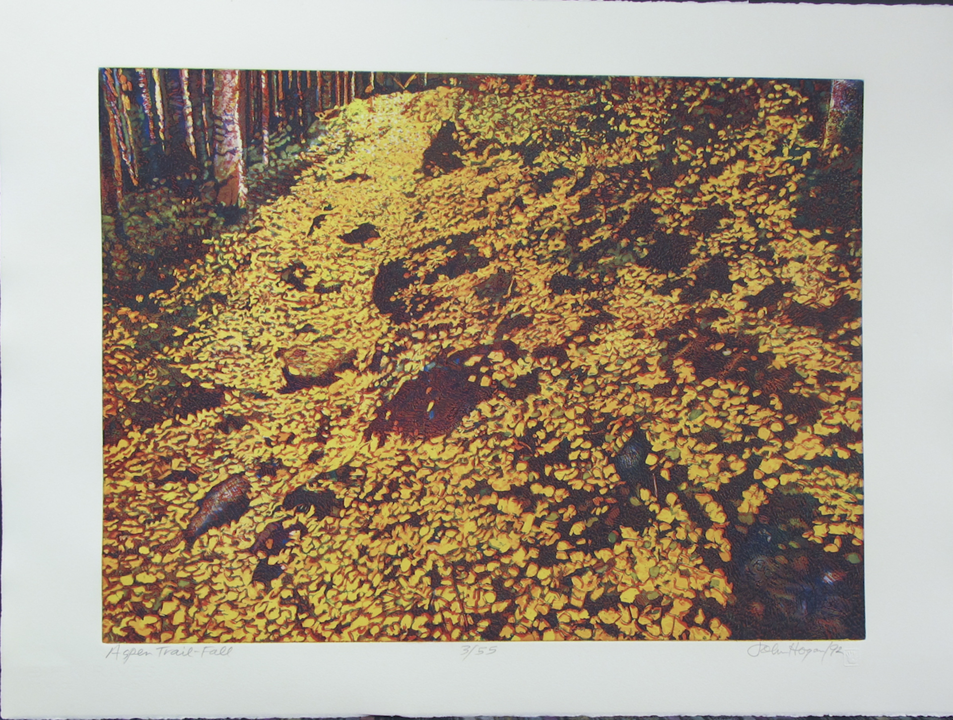 Aspen Trail, Fall by John Hogan