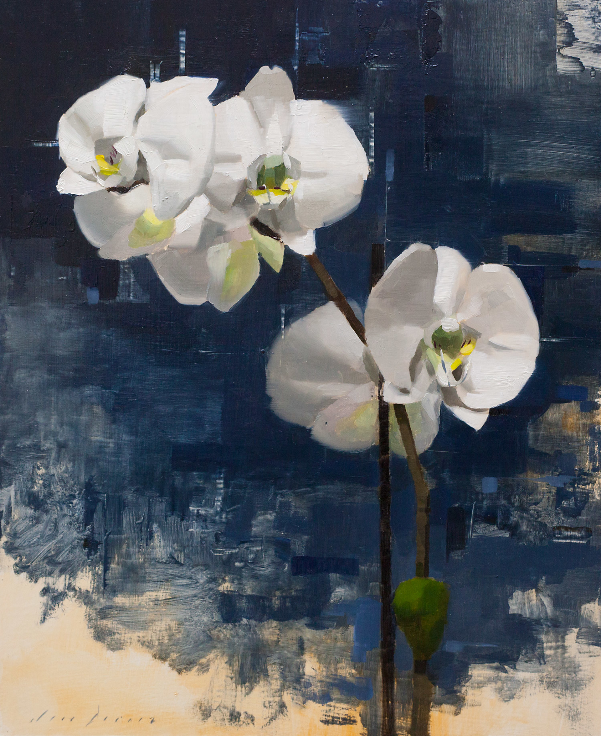 Orchid and Blue by Jon Doran