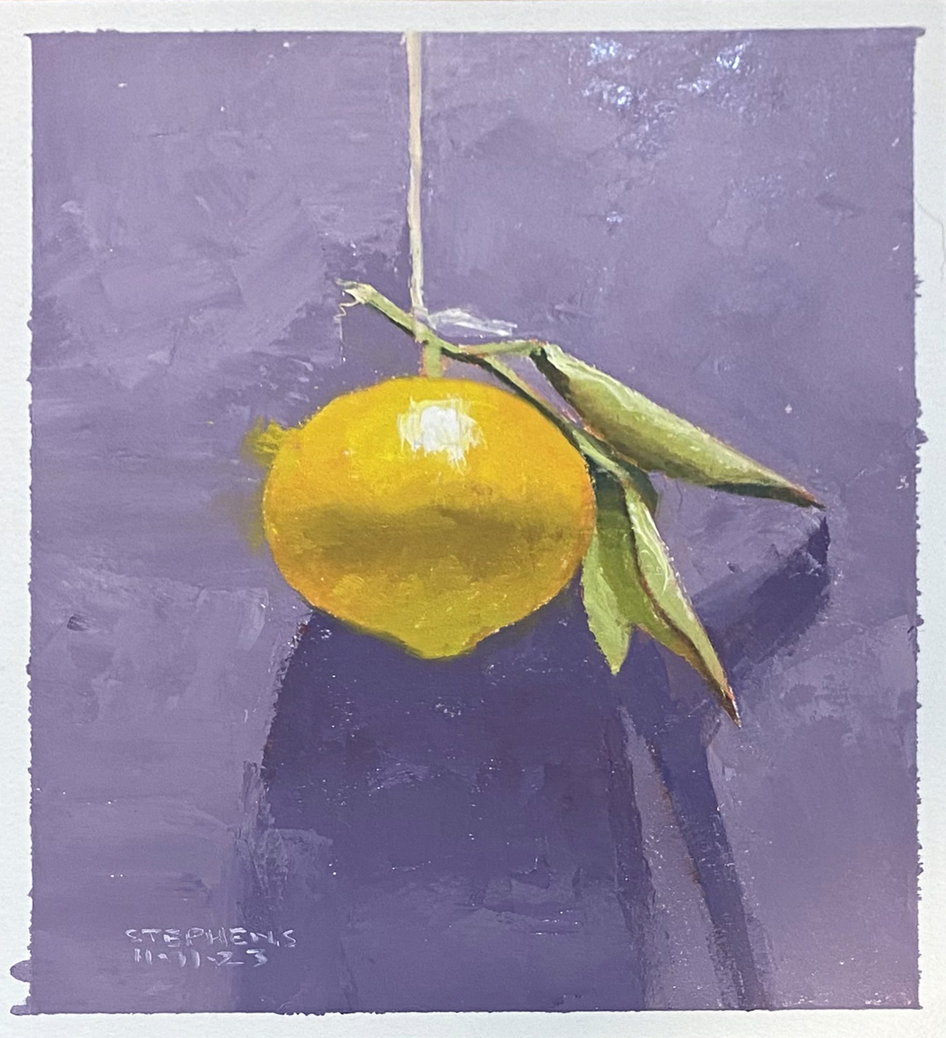 Lemon with Leaves on Violet - Craig Stephens by ACFA