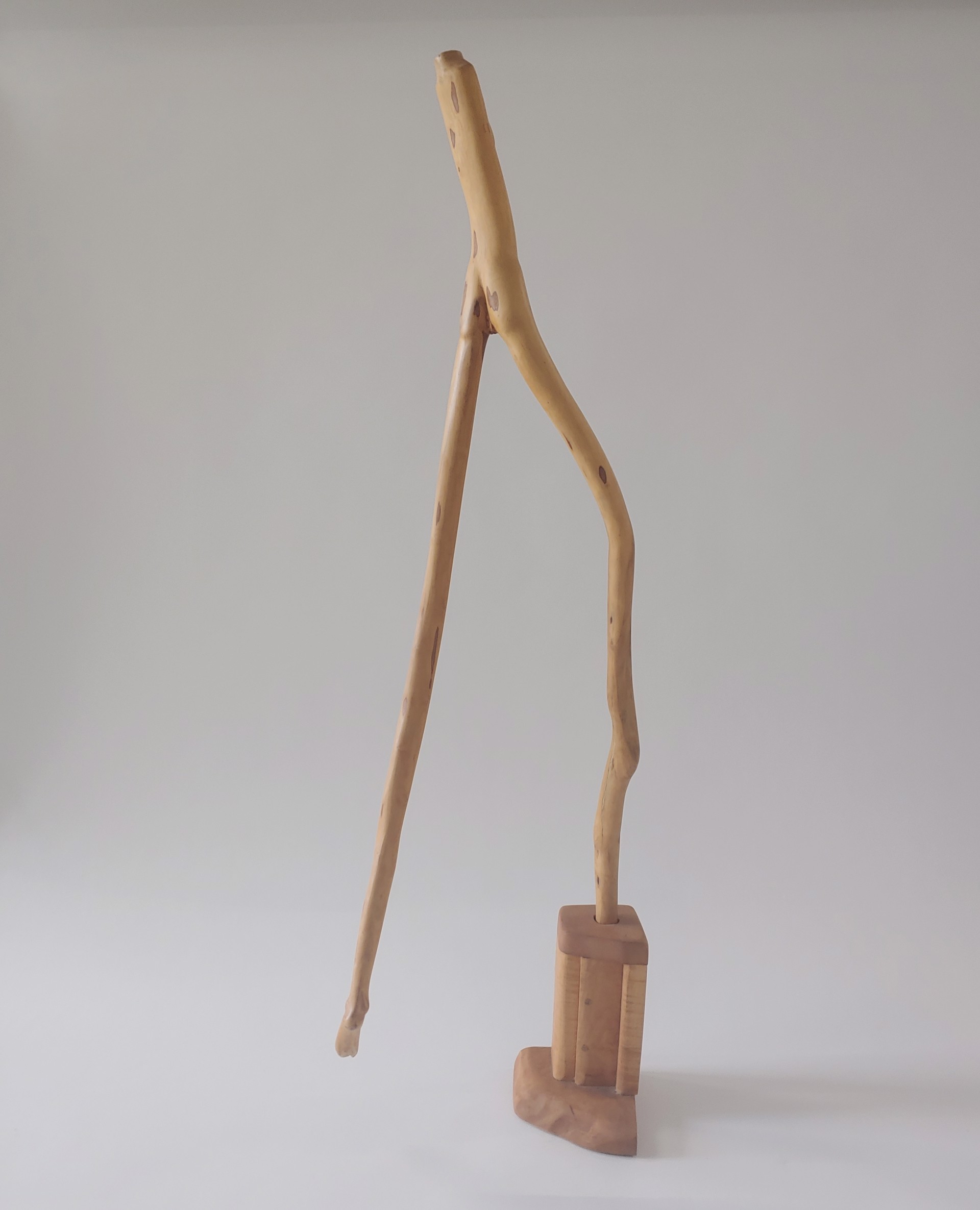 Willow - Wood Sculpture by David Amdur