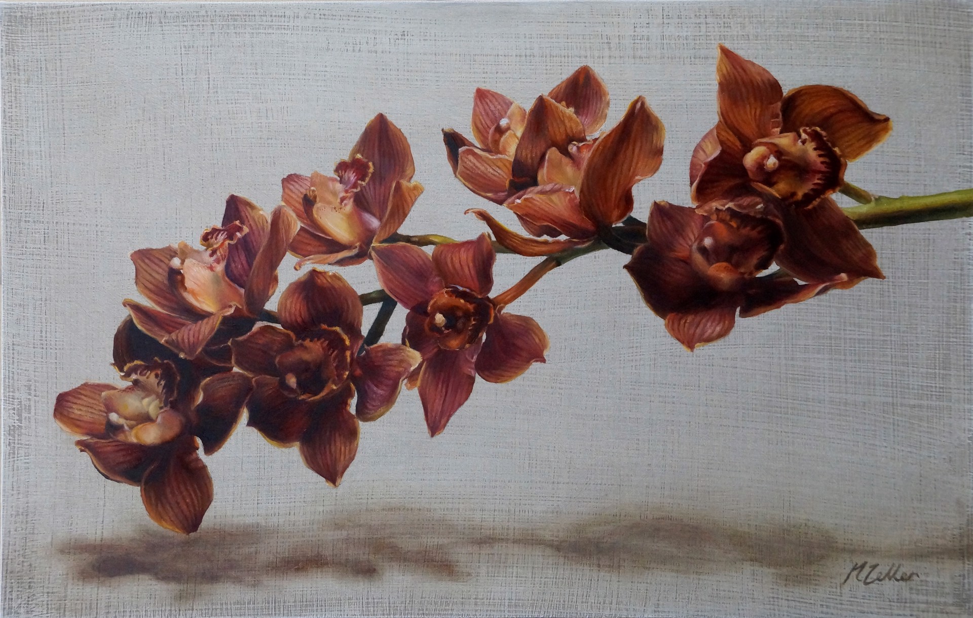 Cymbidium Orchids II by Narelle Zeller