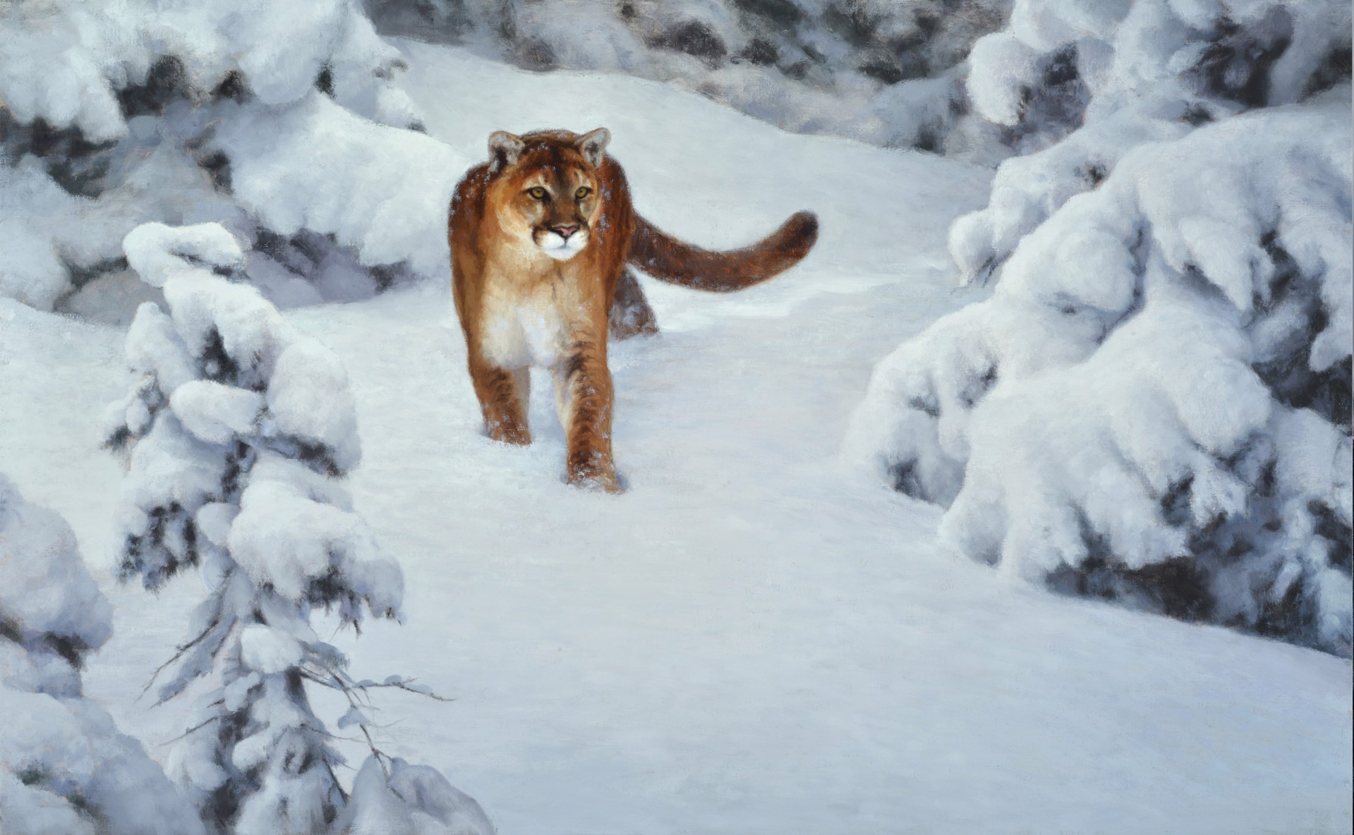 SNOWCAT by Kyle Sims