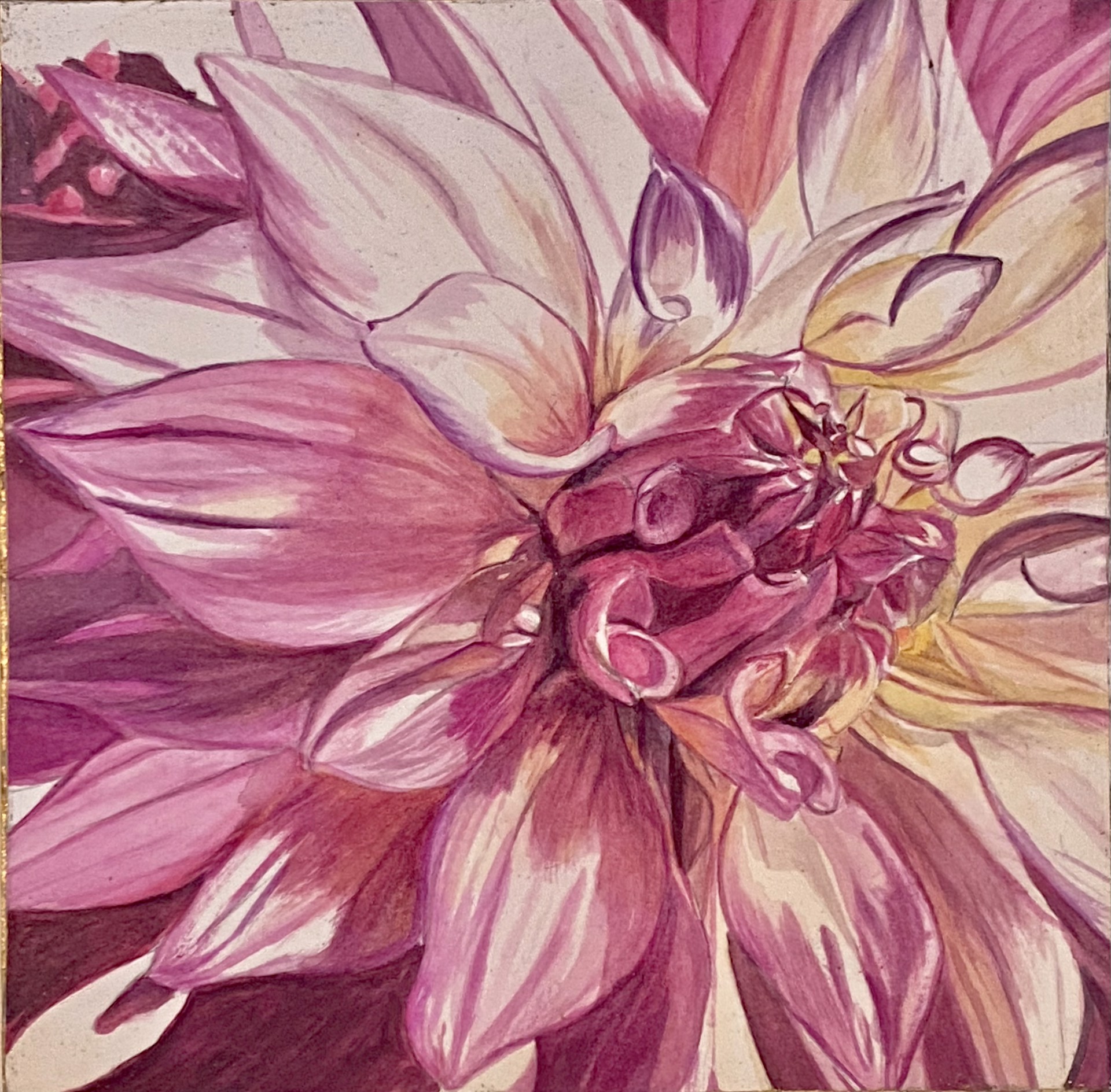 Dahlia Study I by Anne Maree Lawrence