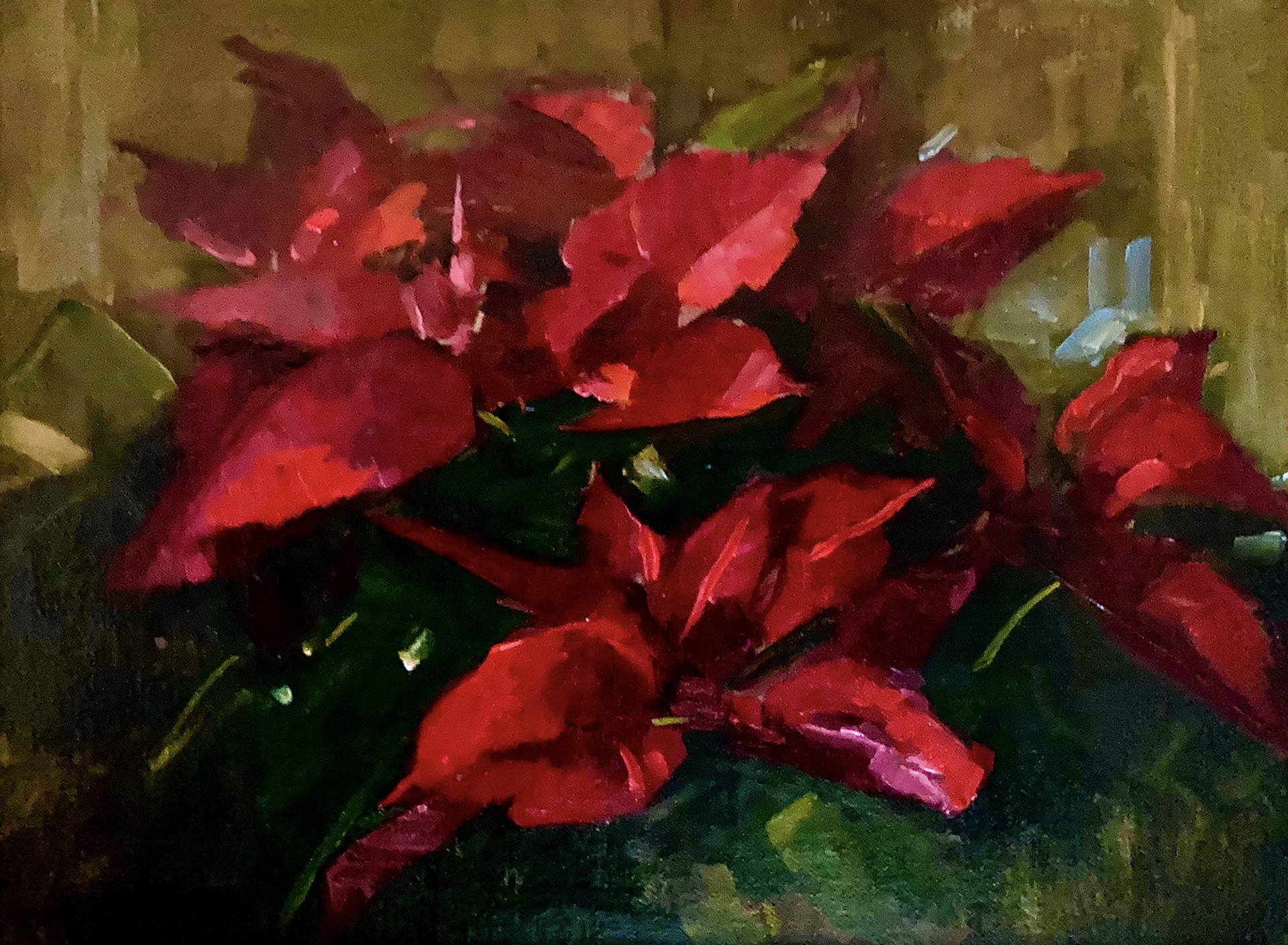 Christmas Poinsettias by Katherine Galbraith