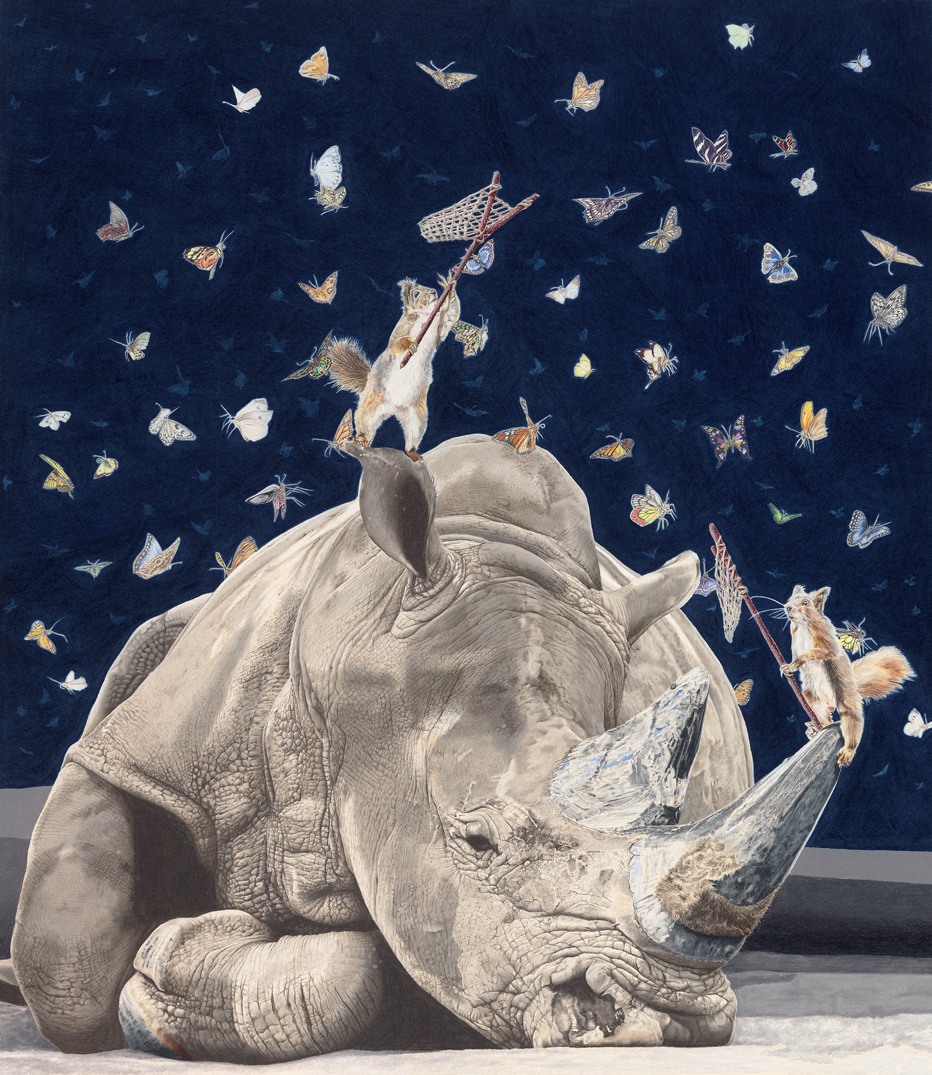 Lepidopterphobic Rhinoceros by Paul Van Heest
