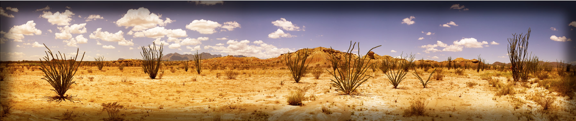 Ocotillo Panoramic by James H. Evans