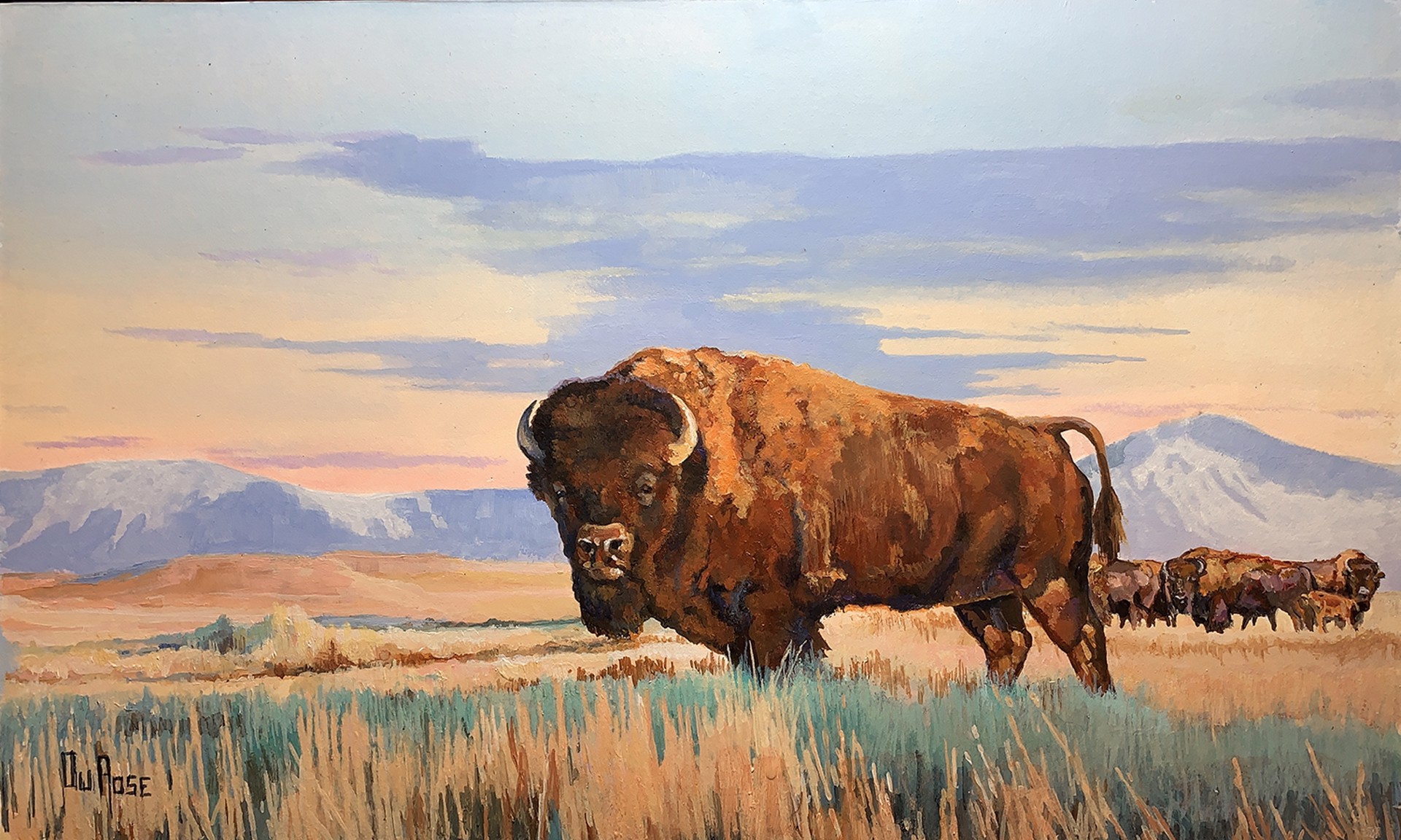 Loner Bison by Ed DuRose